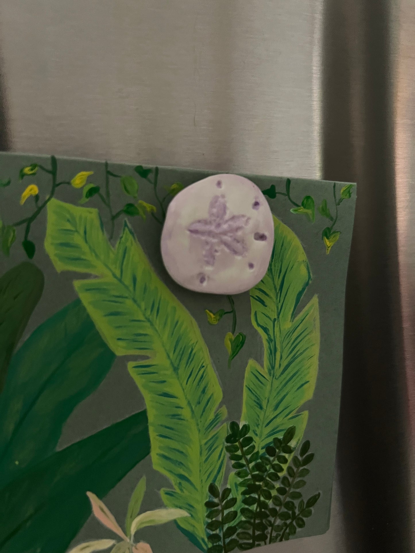 Sand Dollar Magnets