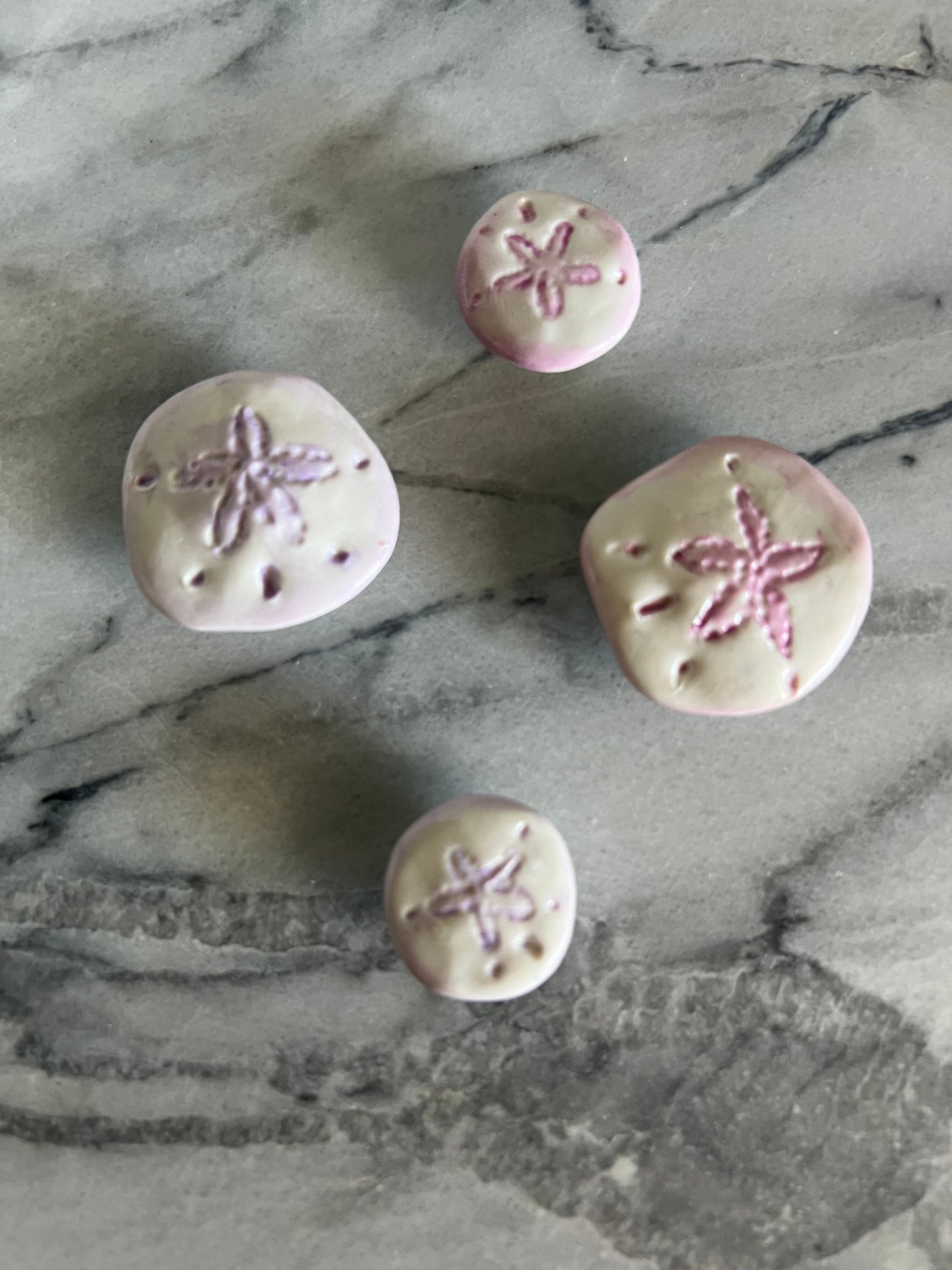 Sand Dollar Magnets