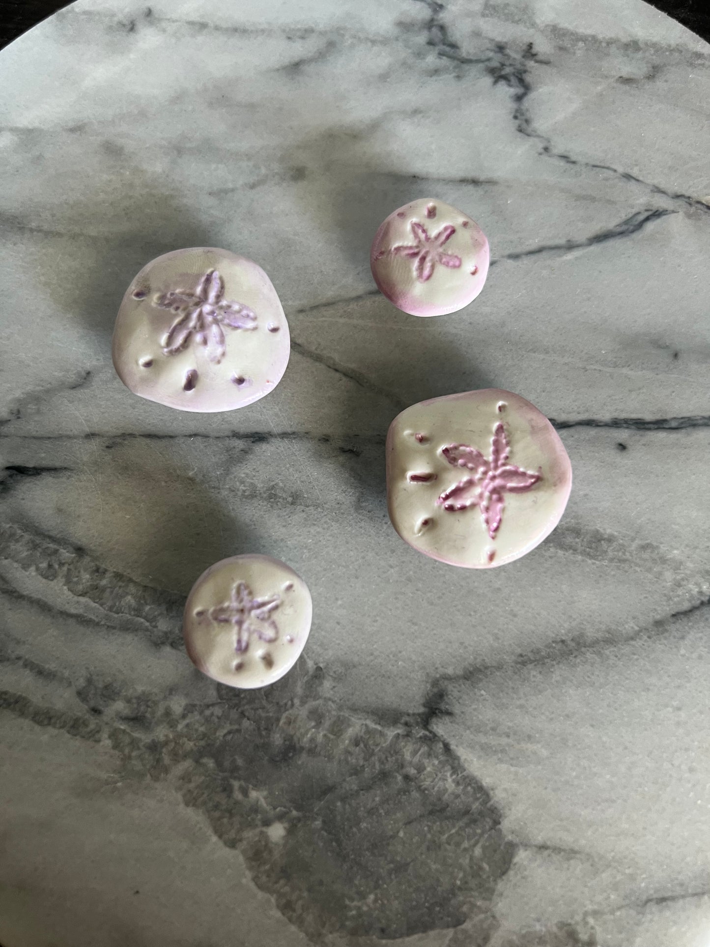Sand Dollar Magnets