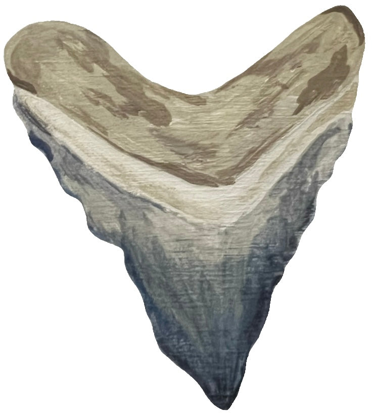 Large Sharks Tooth Vinyl Transfer Sticker