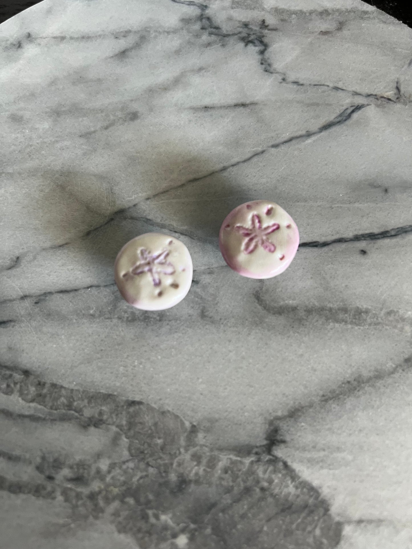 Sand Dollar Magnets