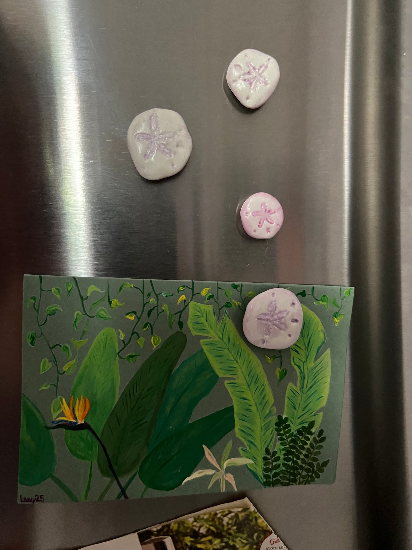 Sand Dollar Magnets