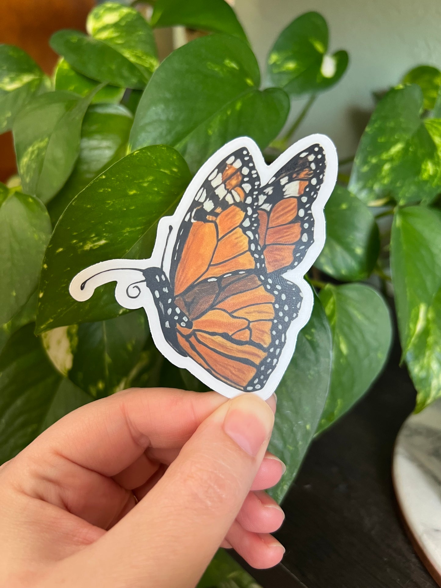 Monarch Butterfly Sticker w/ Clear Border