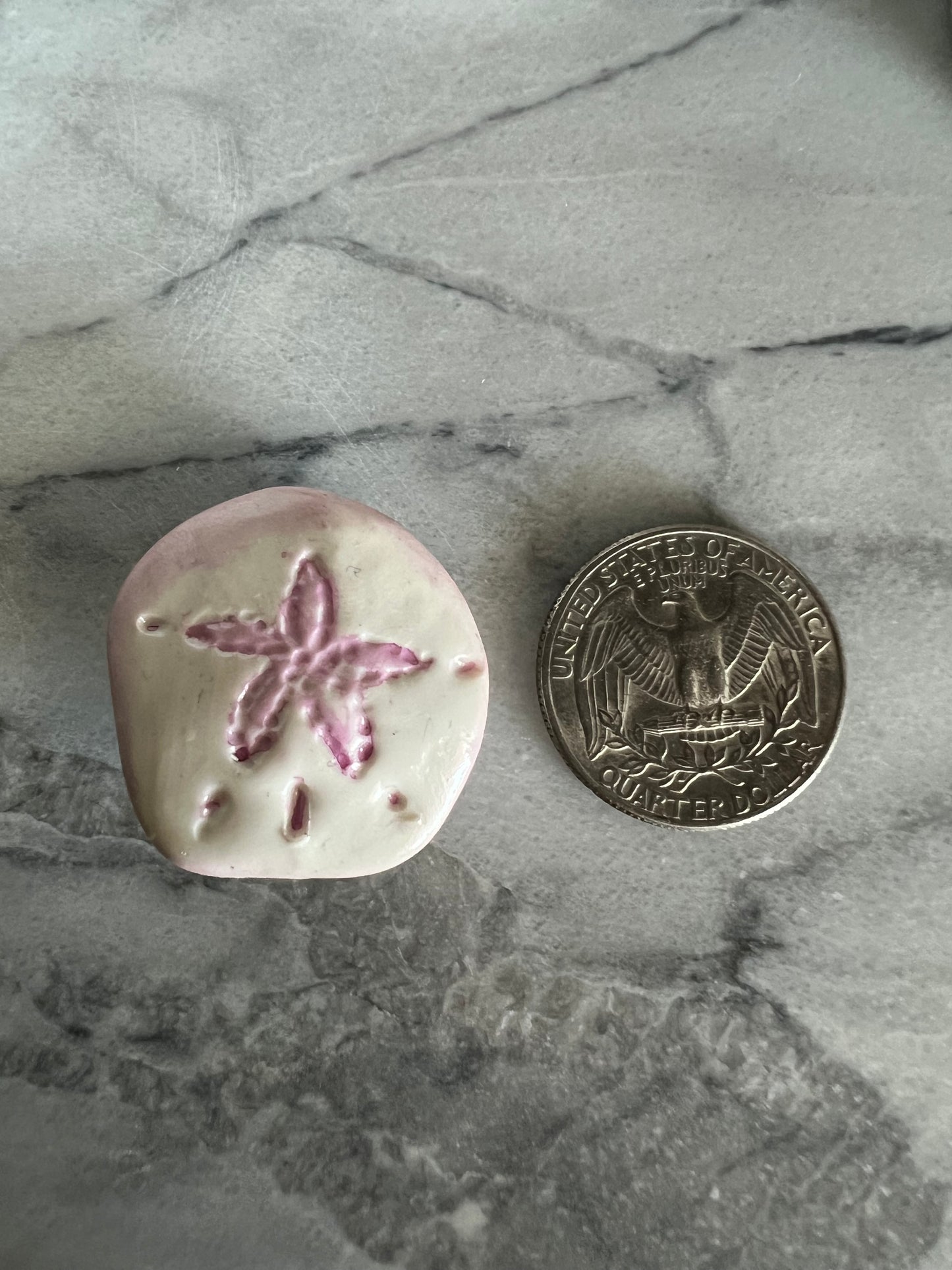 Sand Dollar Magnets