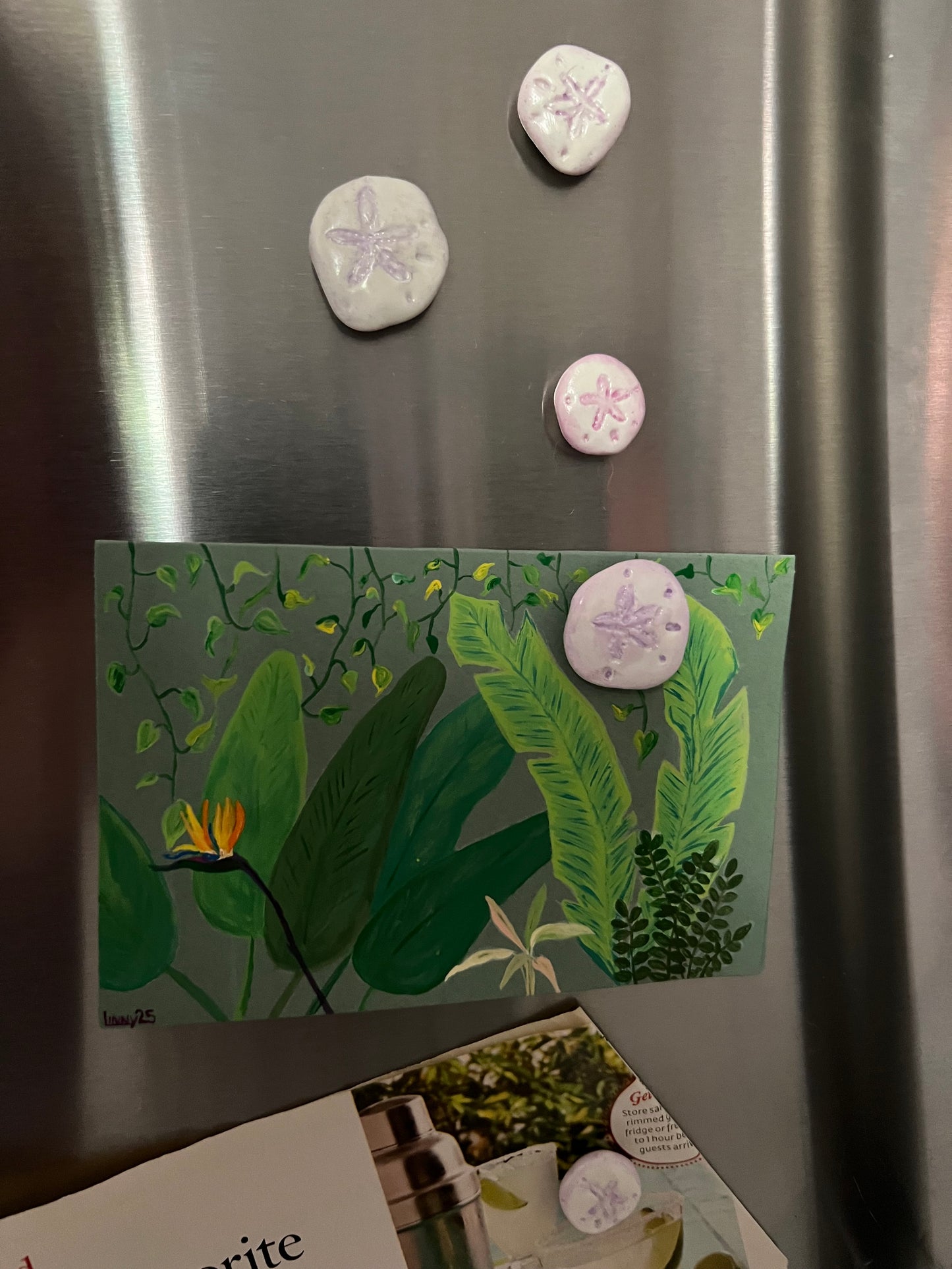 Sand Dollar Magnets