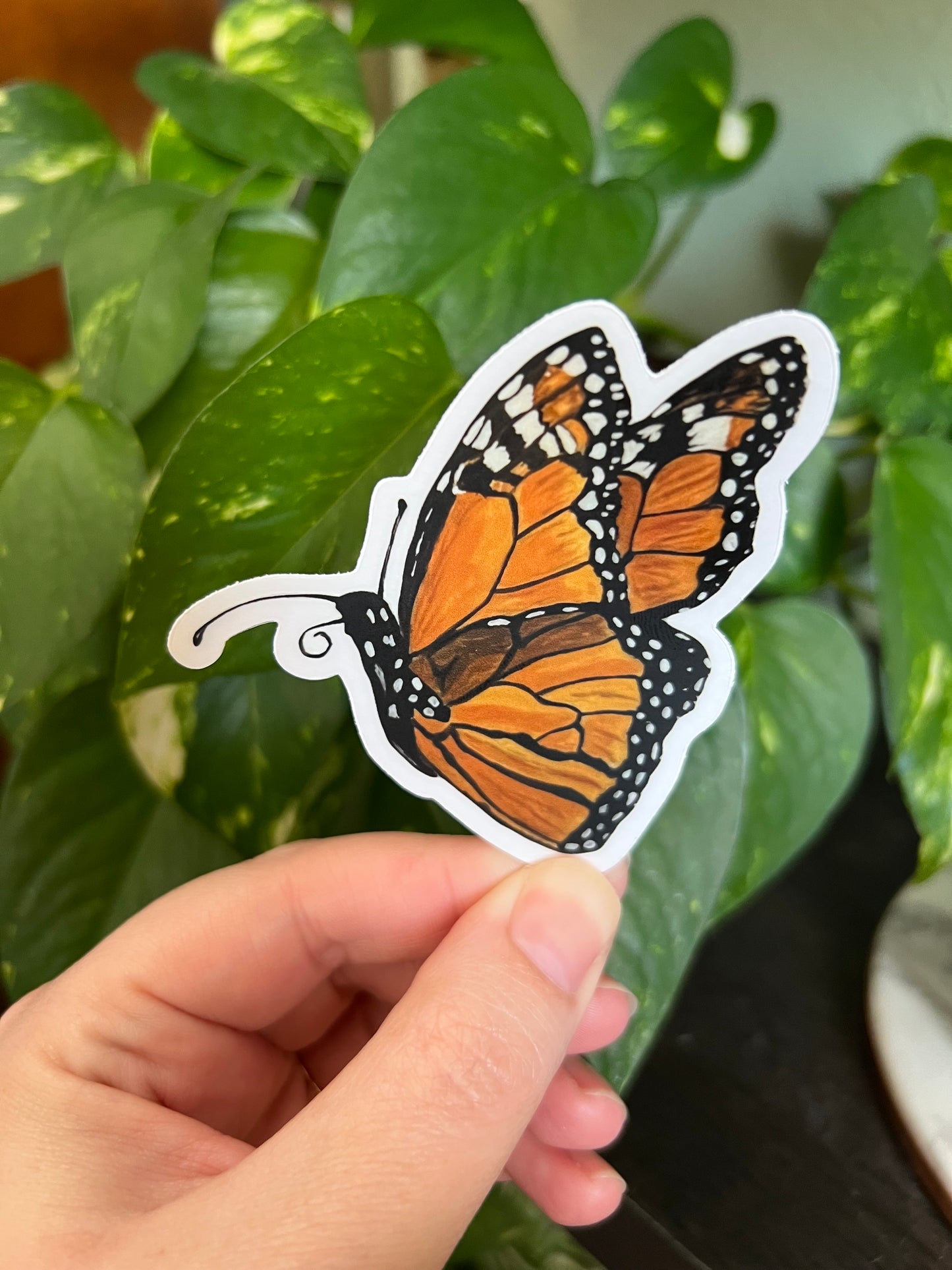 Monarch Butterfly Sticker w/ Clear Border
