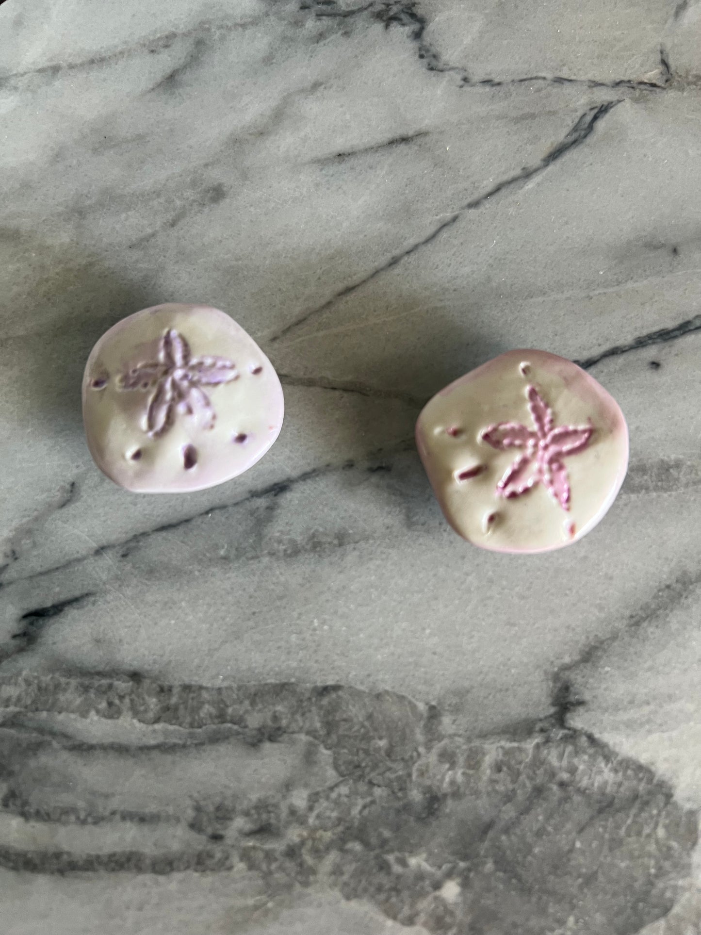 Sand Dollar Magnets