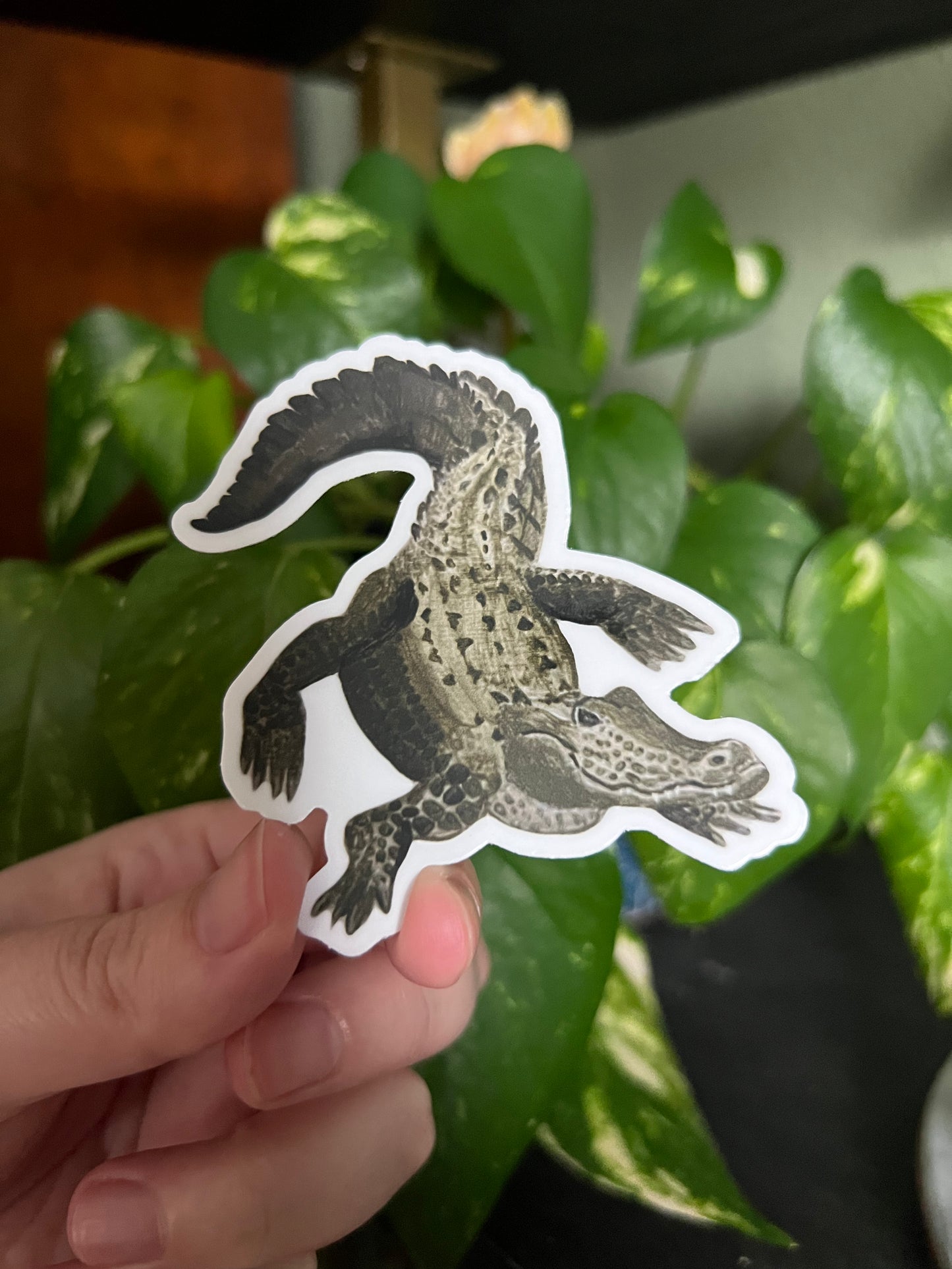 Alligator Sticker