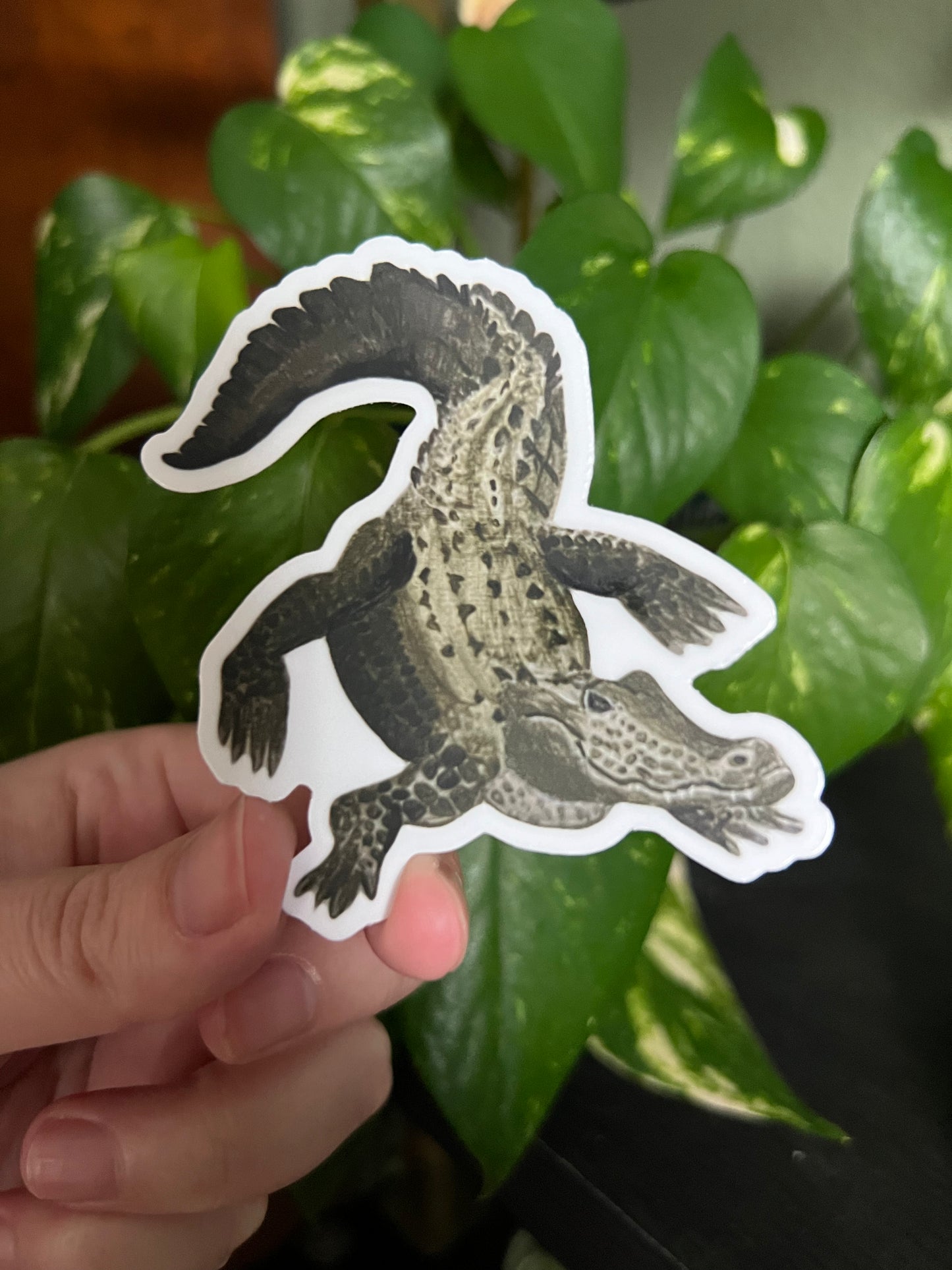Alligator Sticker
