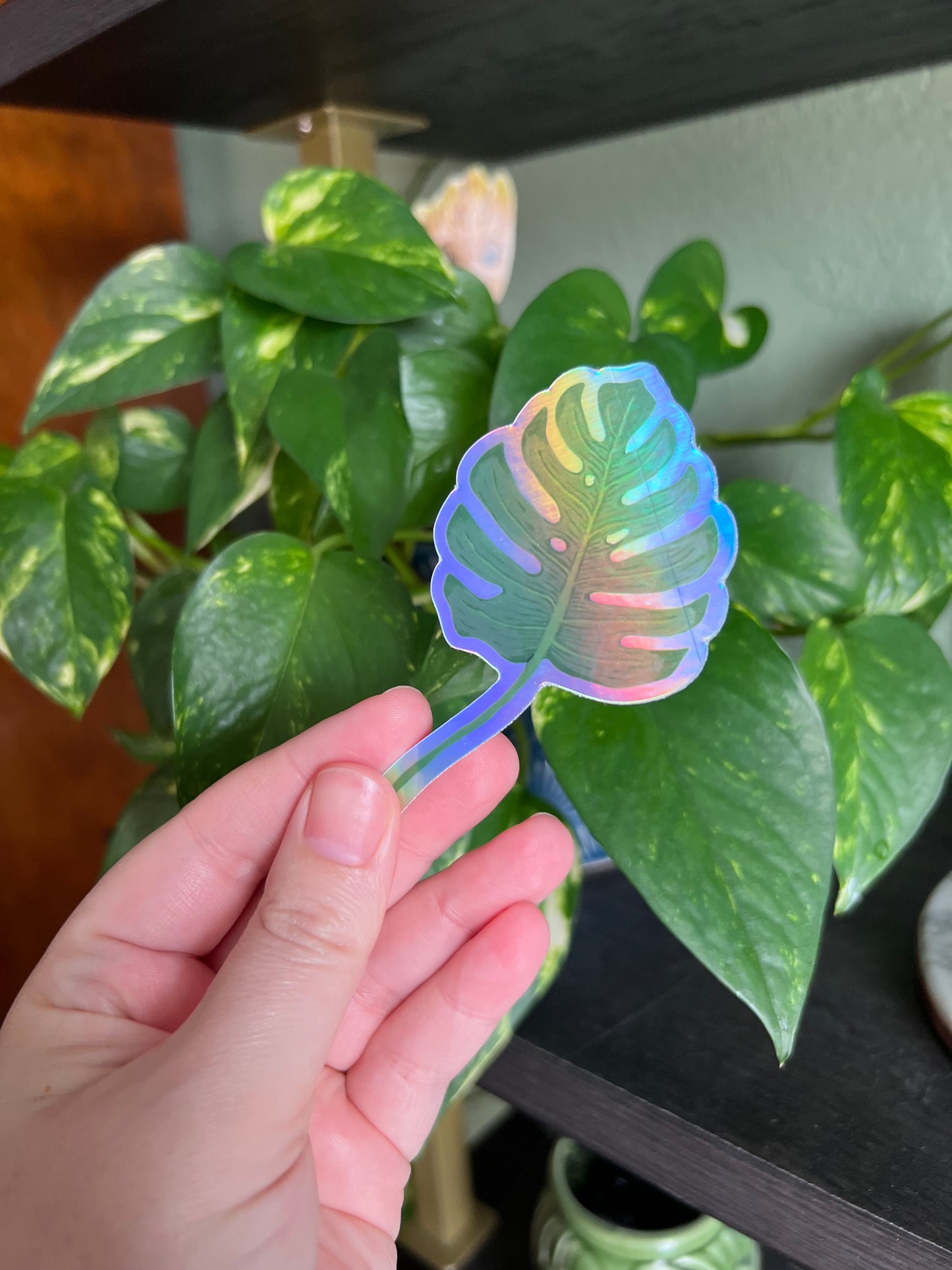 Philodendron Holographic Sticker