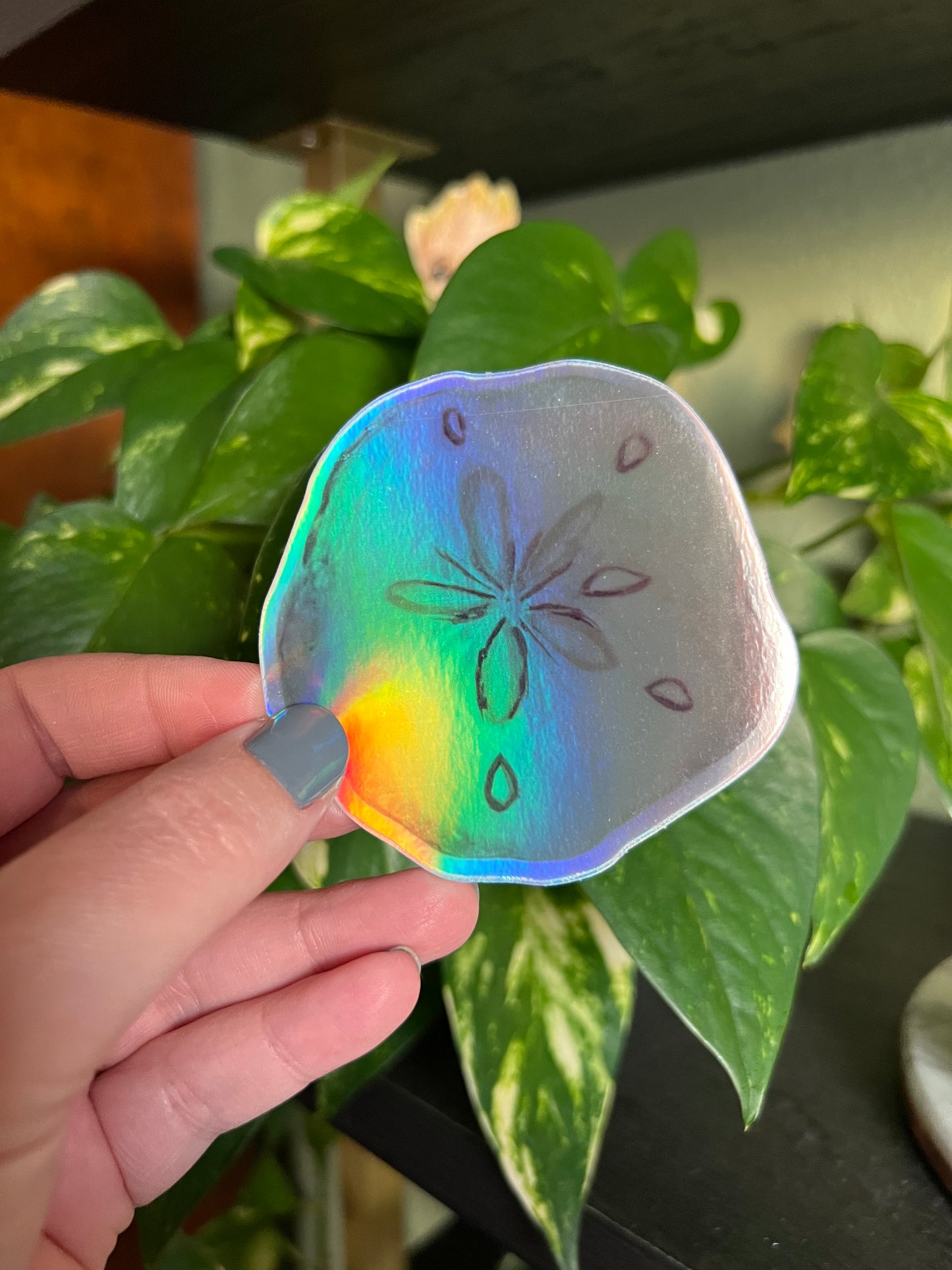 Sand Dollar Holographic Sticker