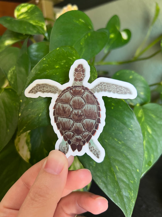 Sea Turtle Sticker