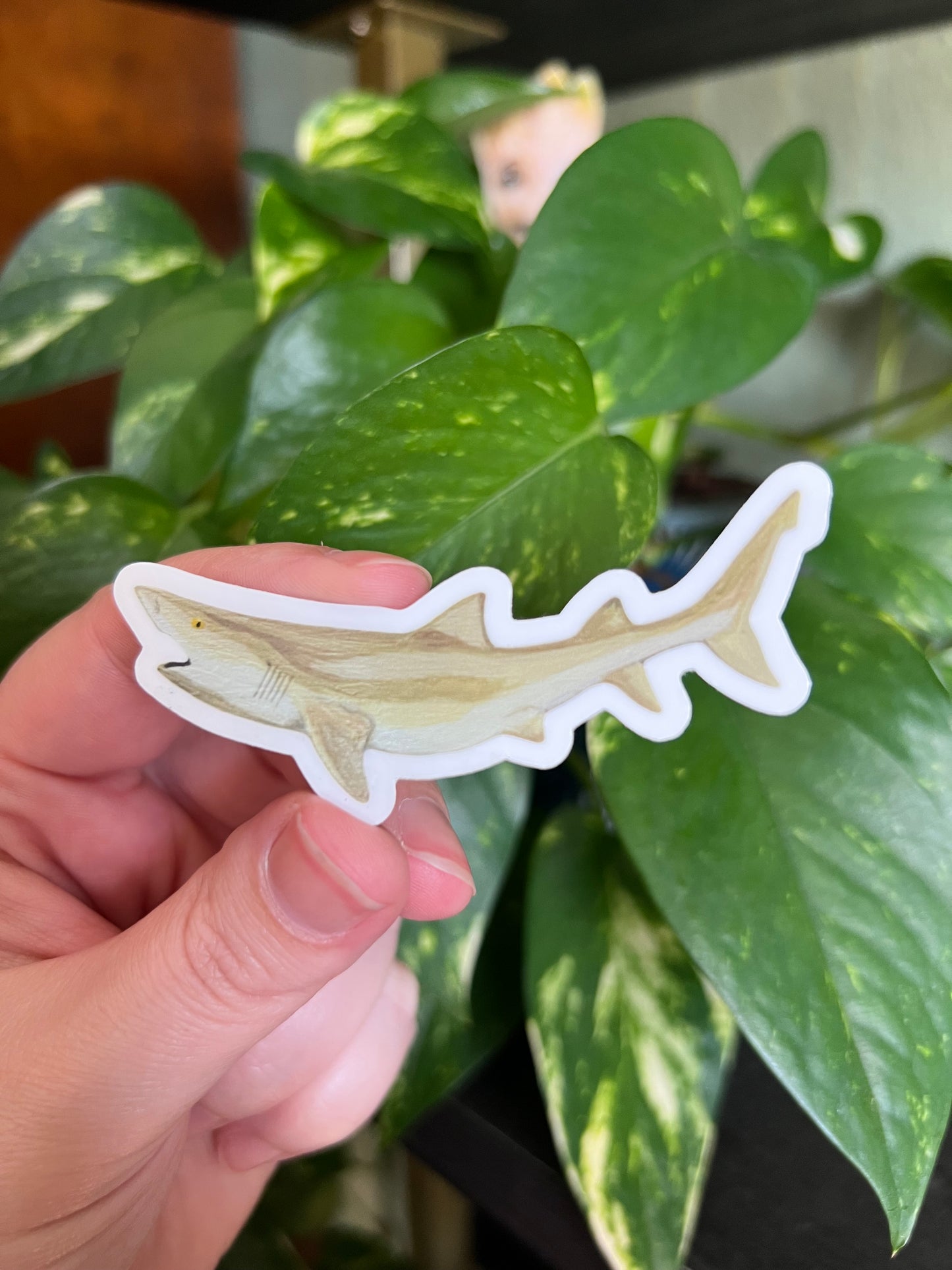 Lemon Shark Sticker