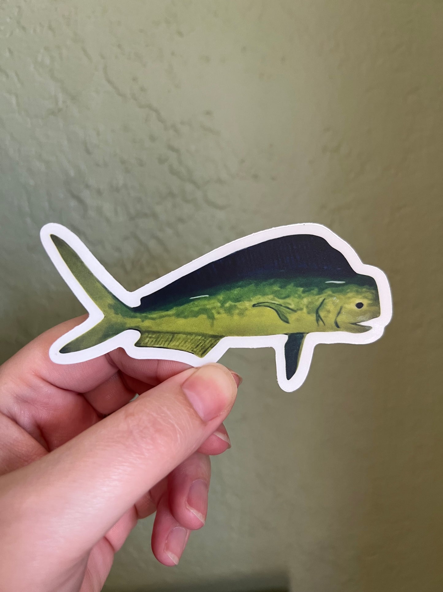 Mahi Mahi Dorado Sticker w/ Clear Border