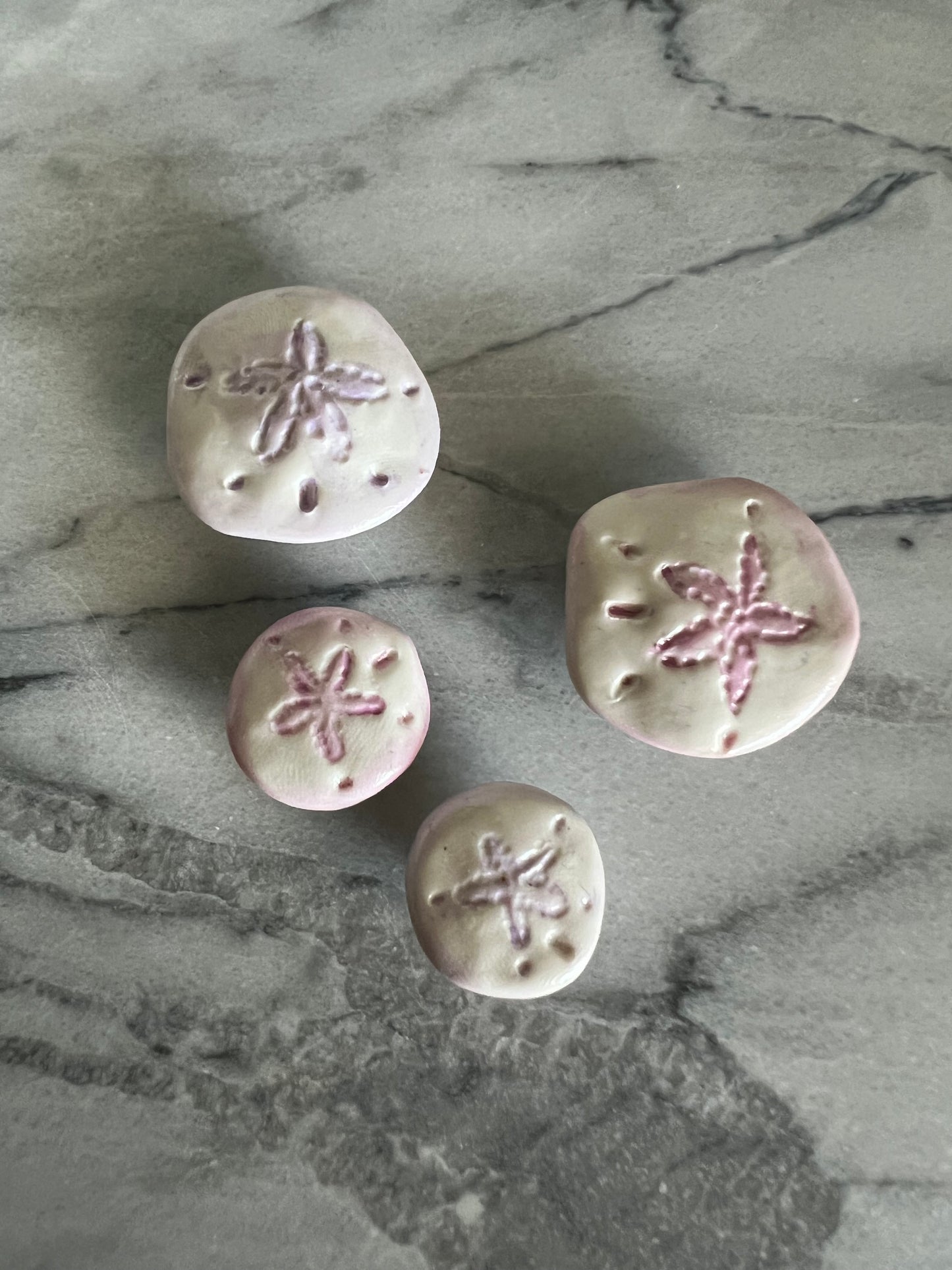 Sand Dollar Magnets