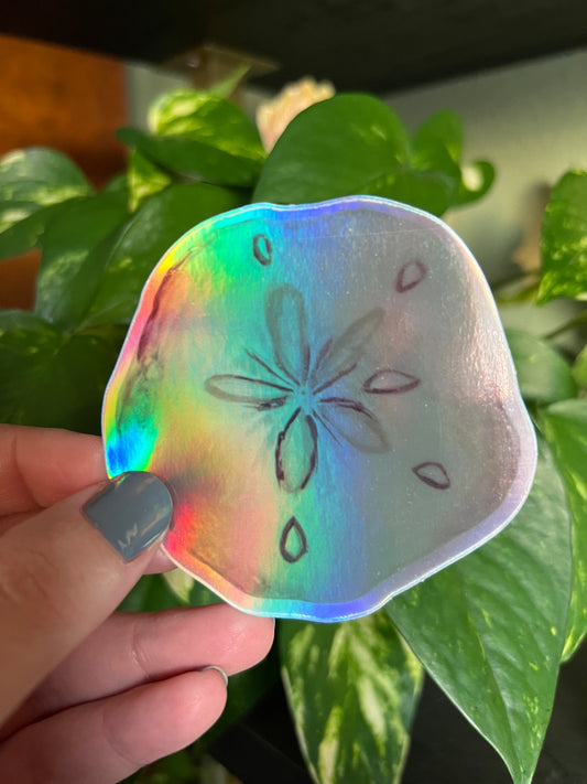 Sand Dollar Holographic Sticker