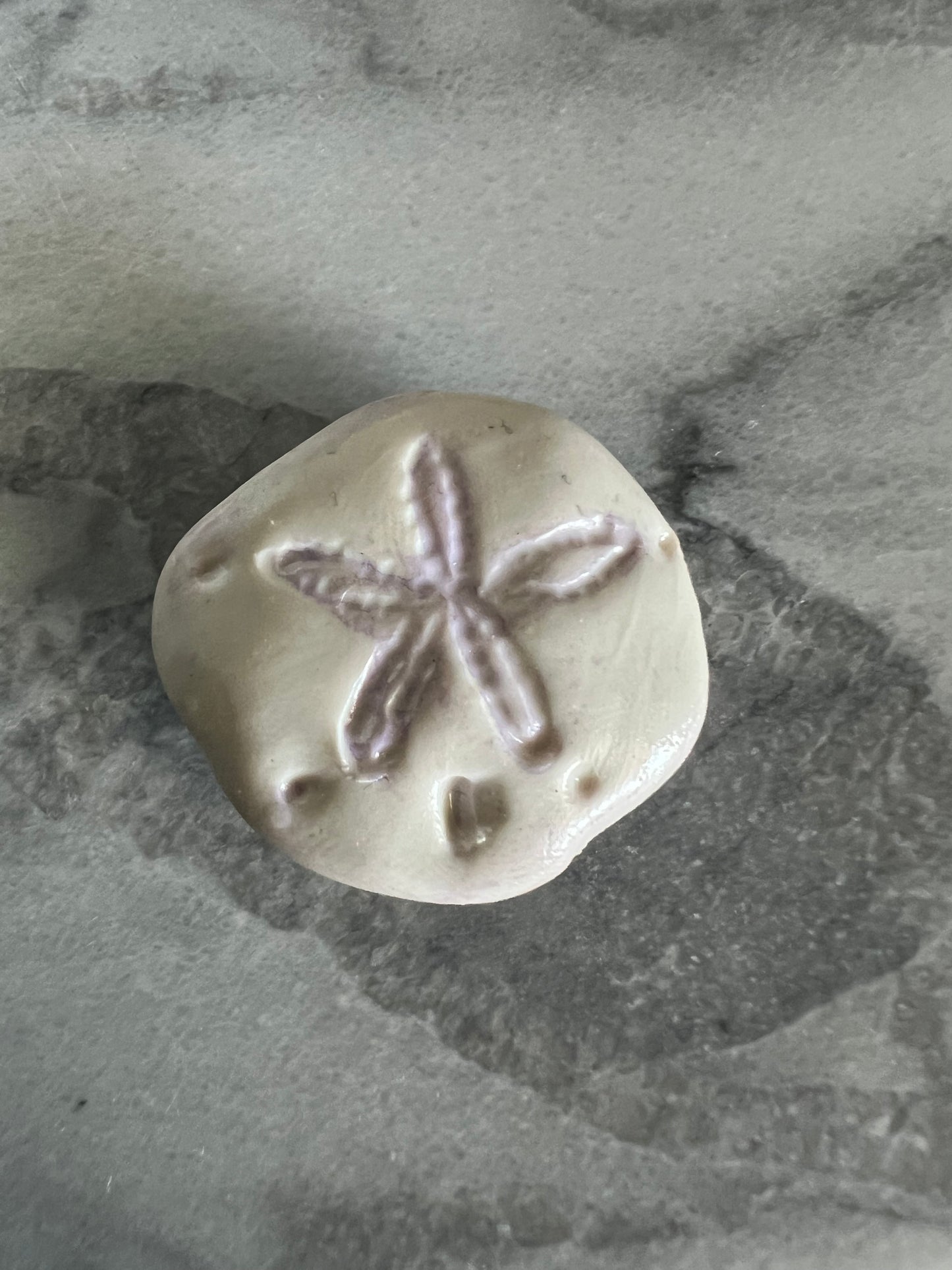 Sand Dollar Magnets