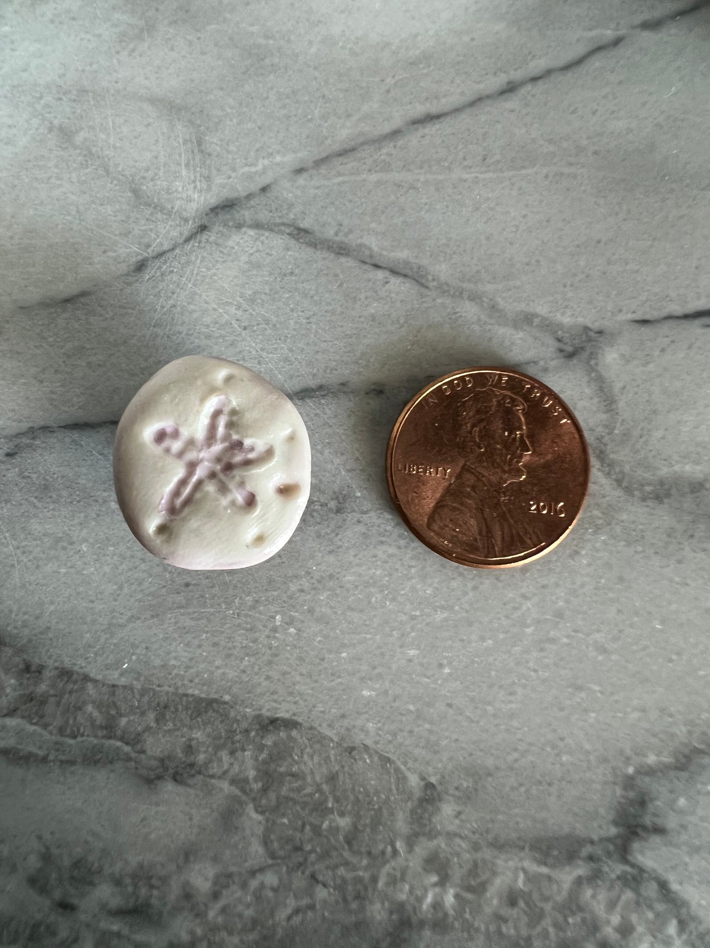 Sand Dollar Magnets