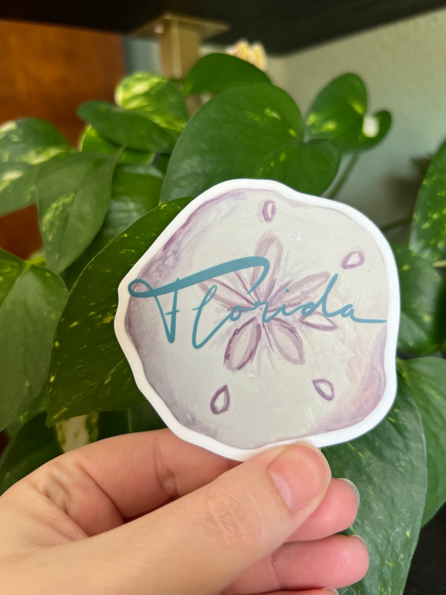 Florida Sand Dollar Tourist Sticker