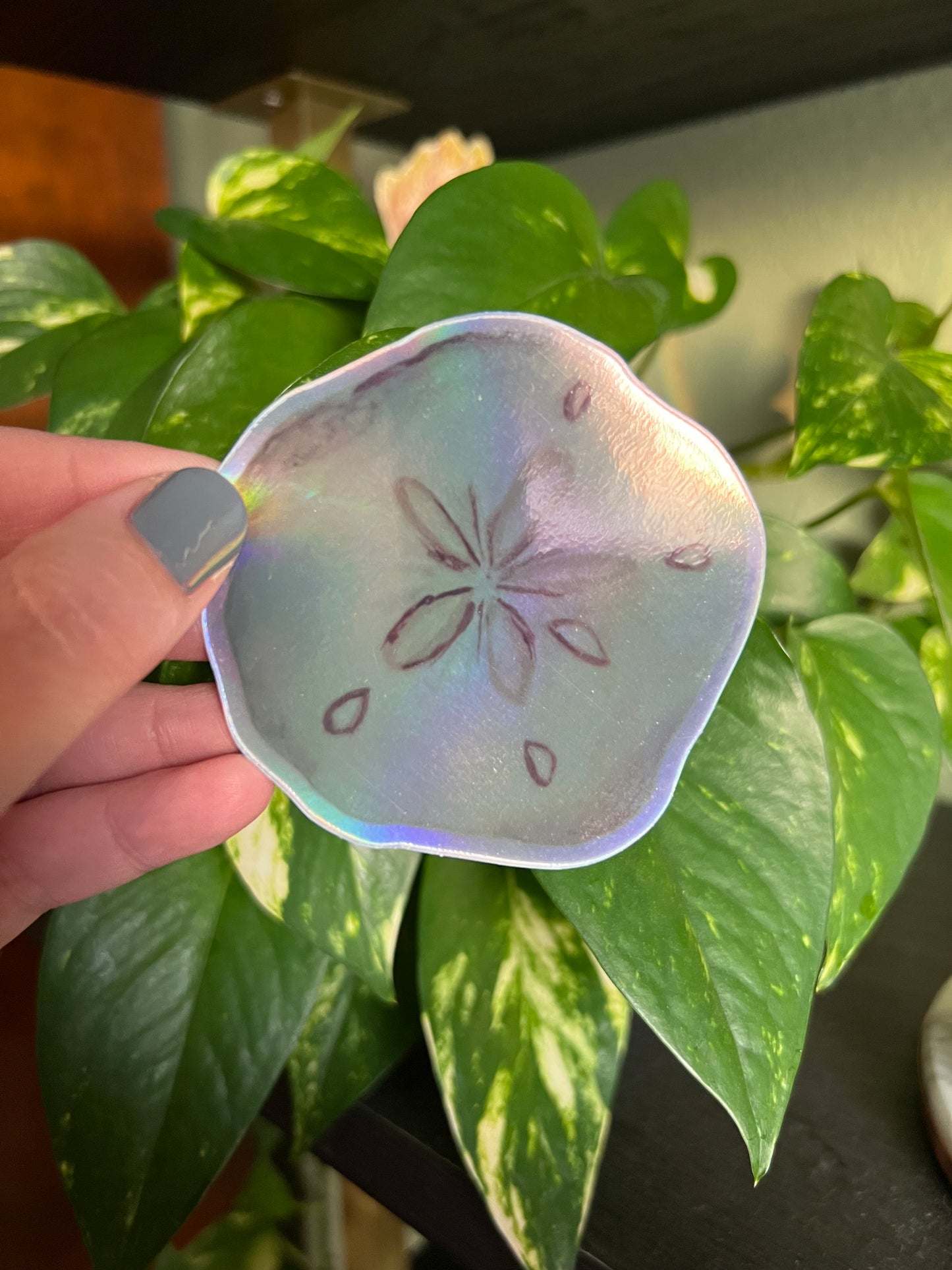 Sand Dollar Holographic Sticker