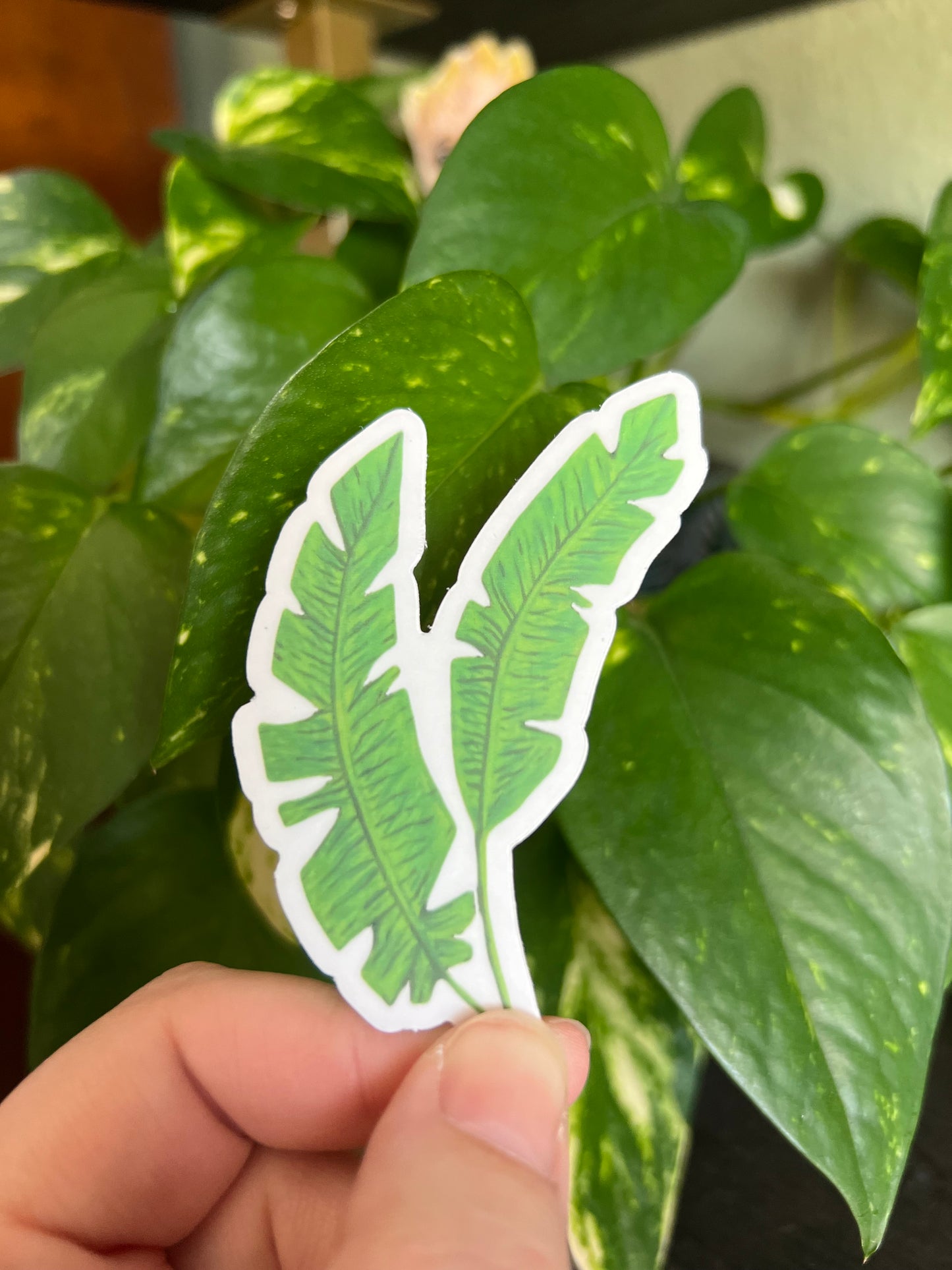 Tropical Palms Sticker w/ Clear Border