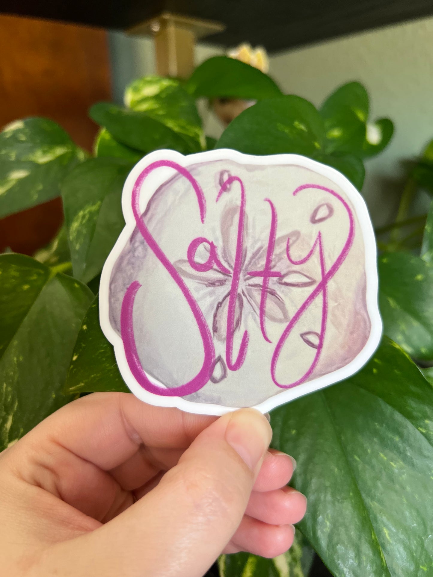 “Salty” Sand Dollar Sticker