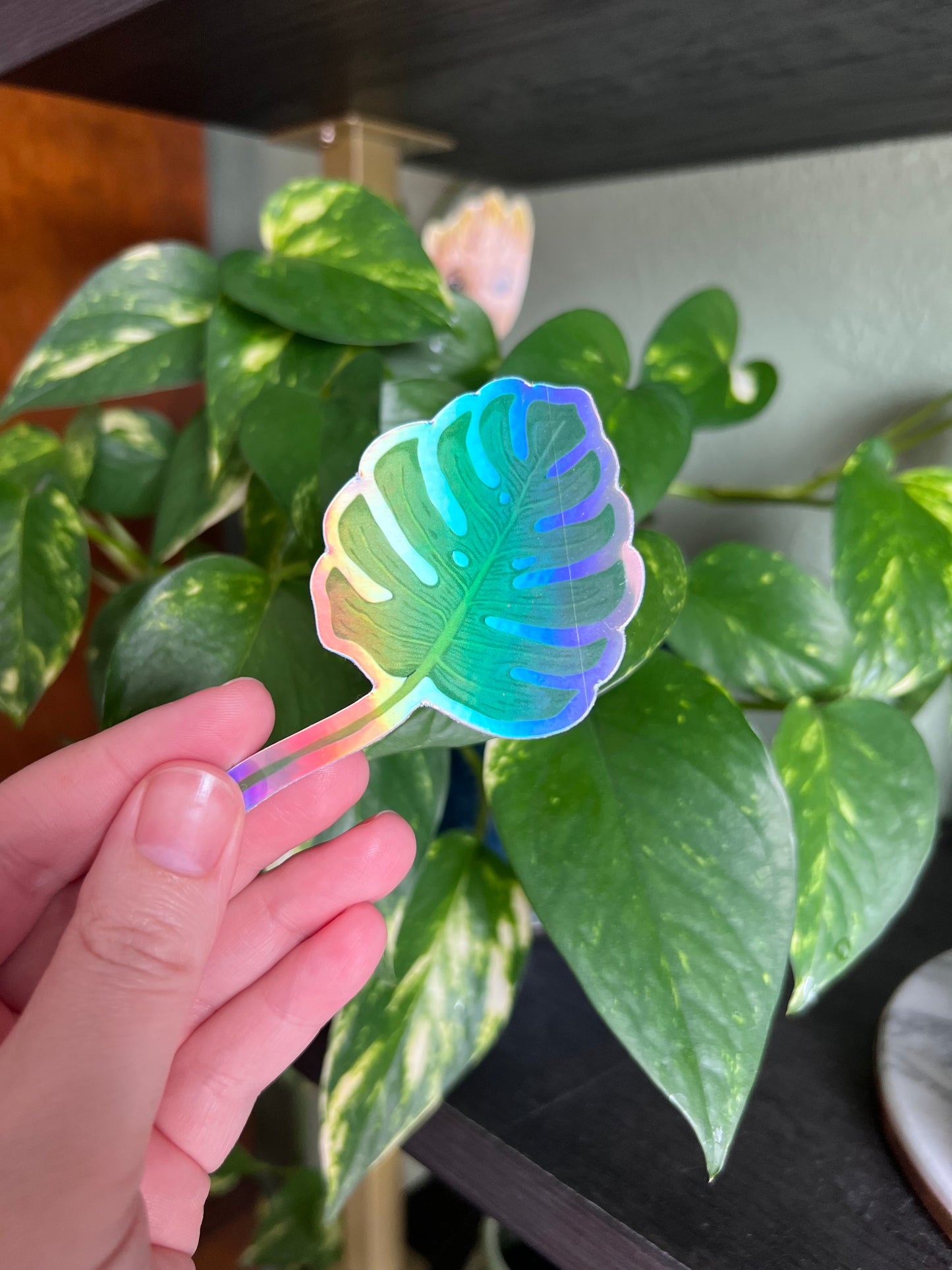 Philodendron Holographic Sticker