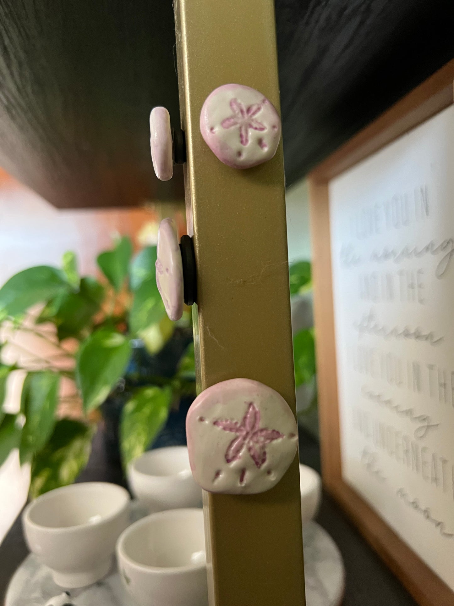 Sand Dollar Magnets