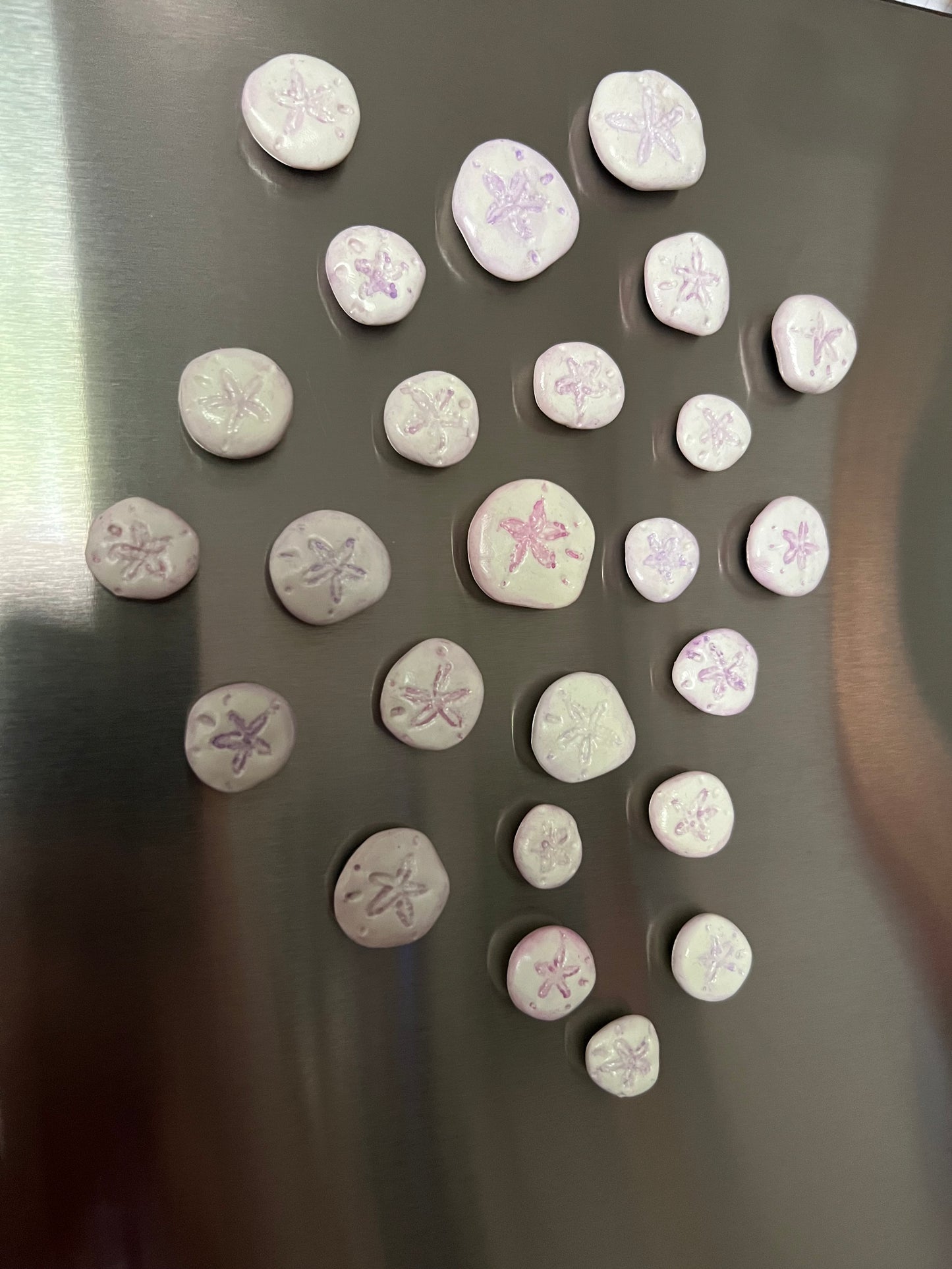 Sand Dollar Magnets