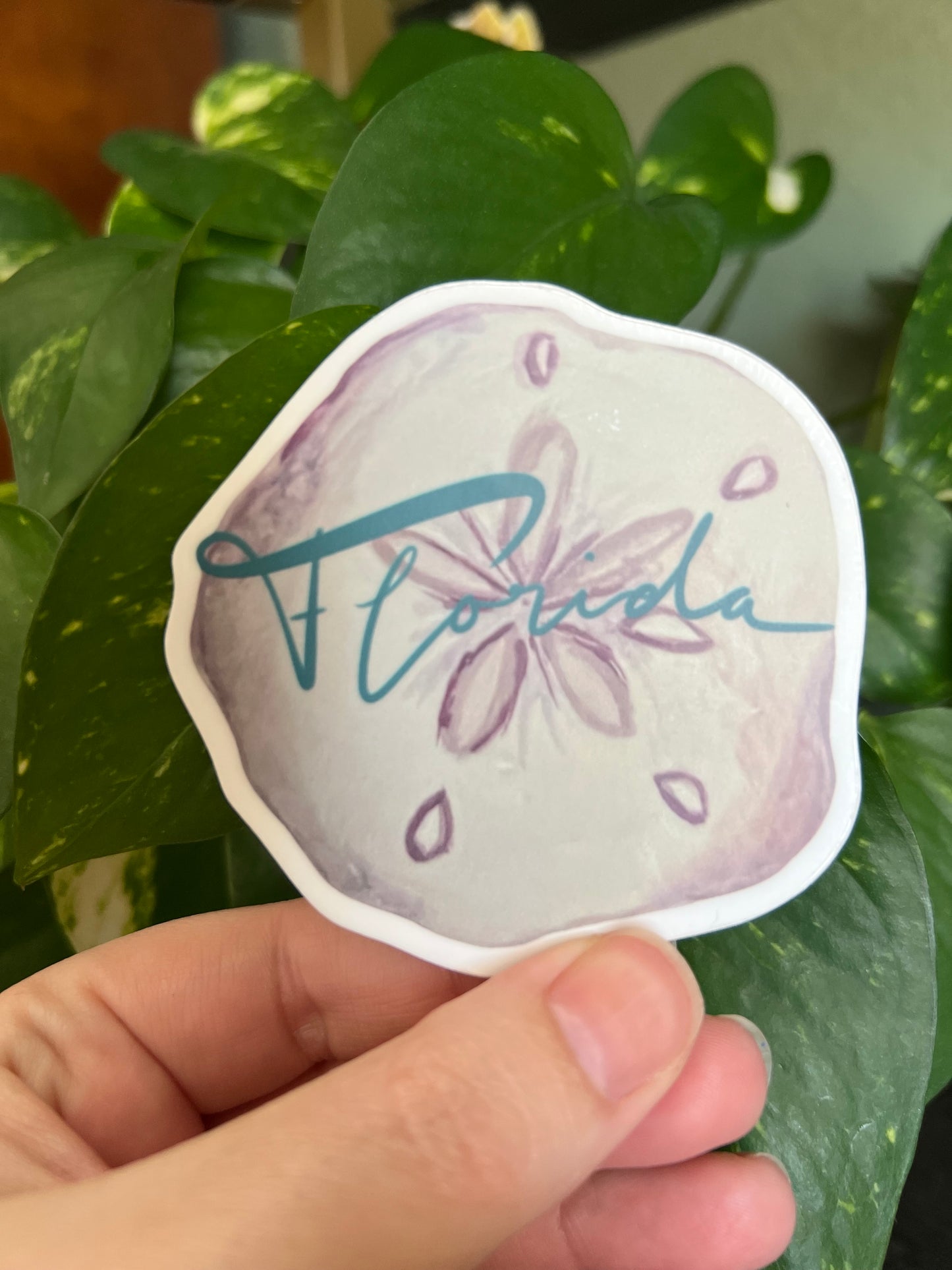 Florida Sand Dollar Tourist Sticker