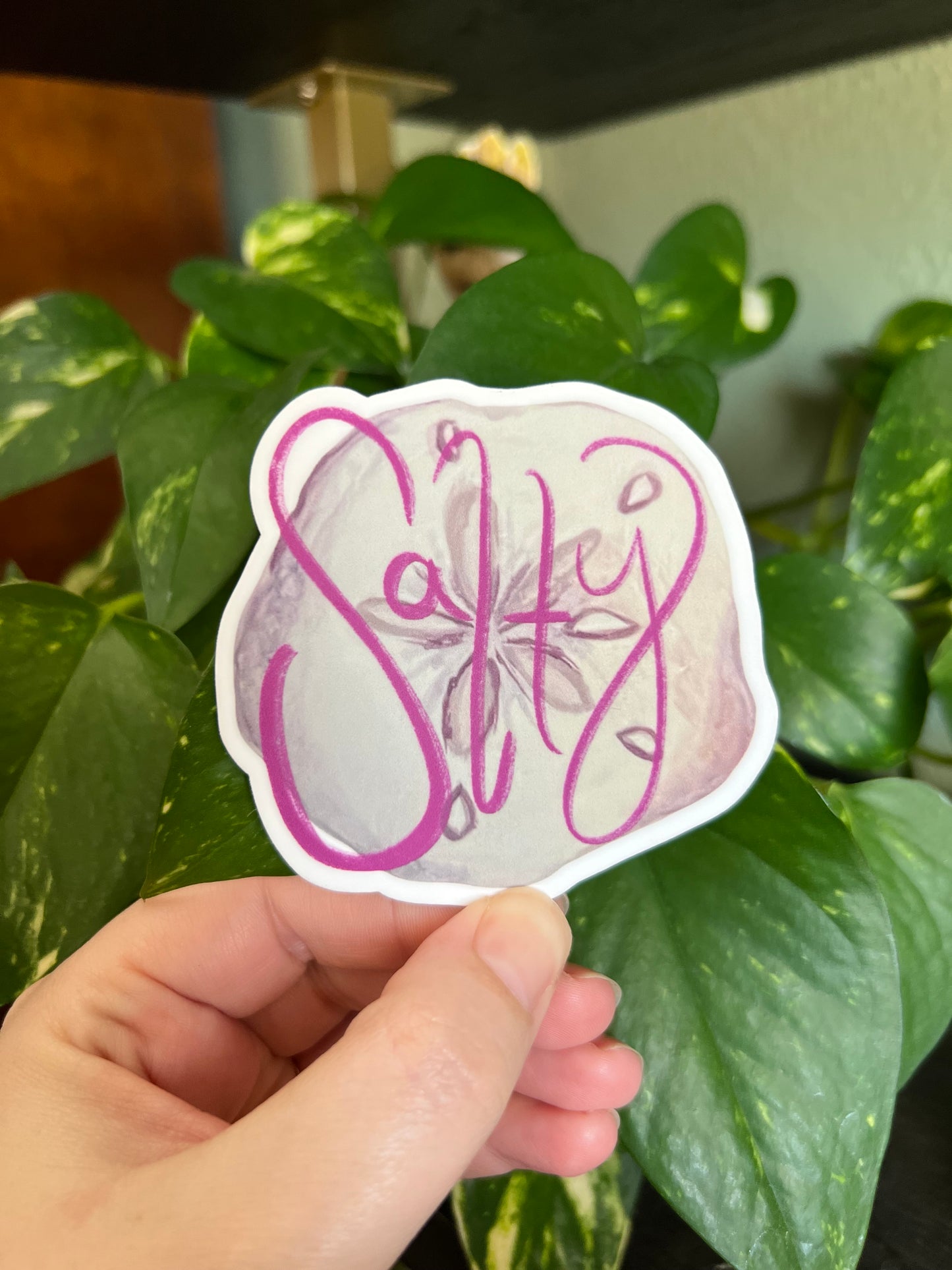 “Salty” Sand Dollar Sticker