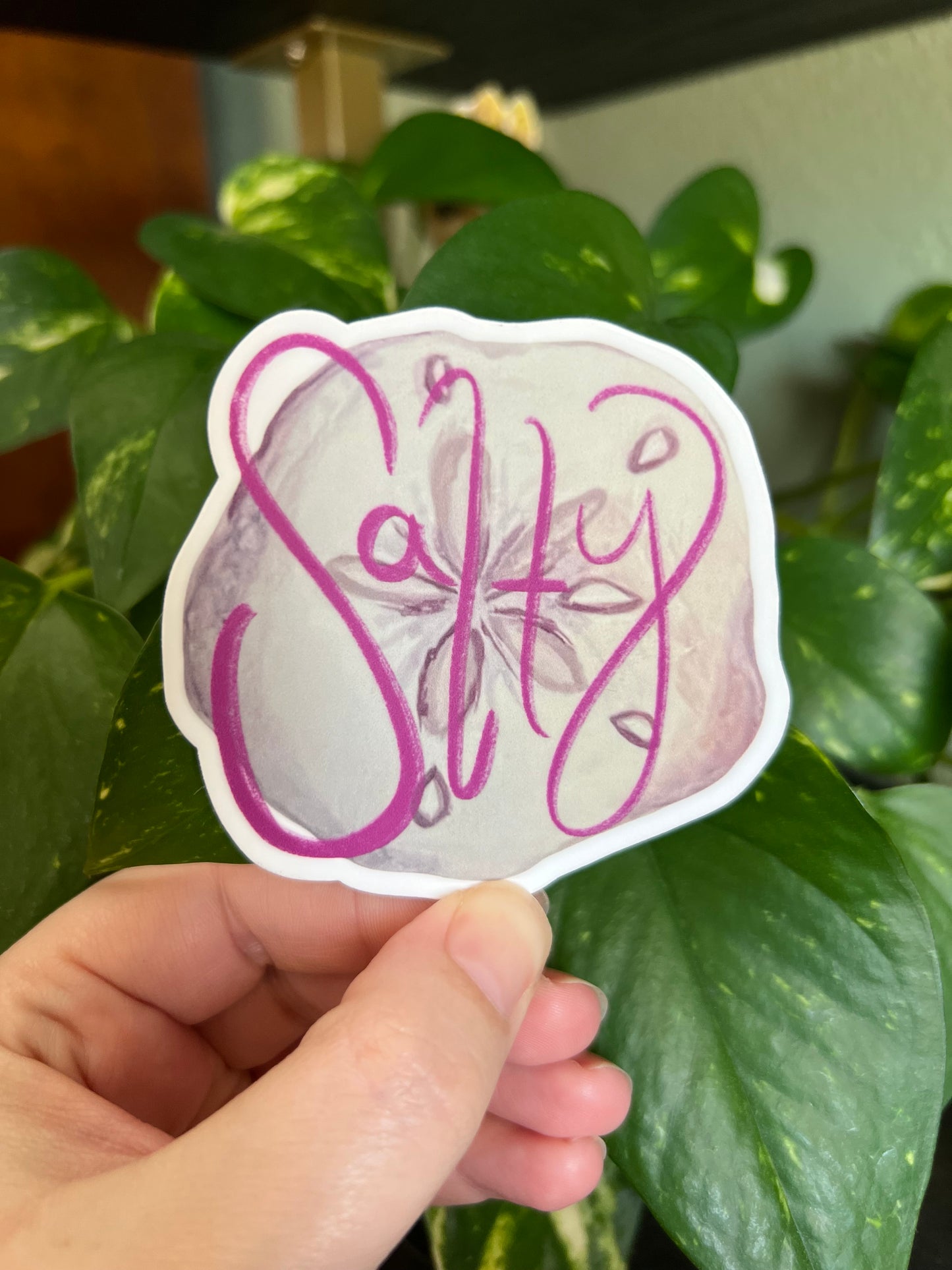 “Salty” Sand Dollar Sticker