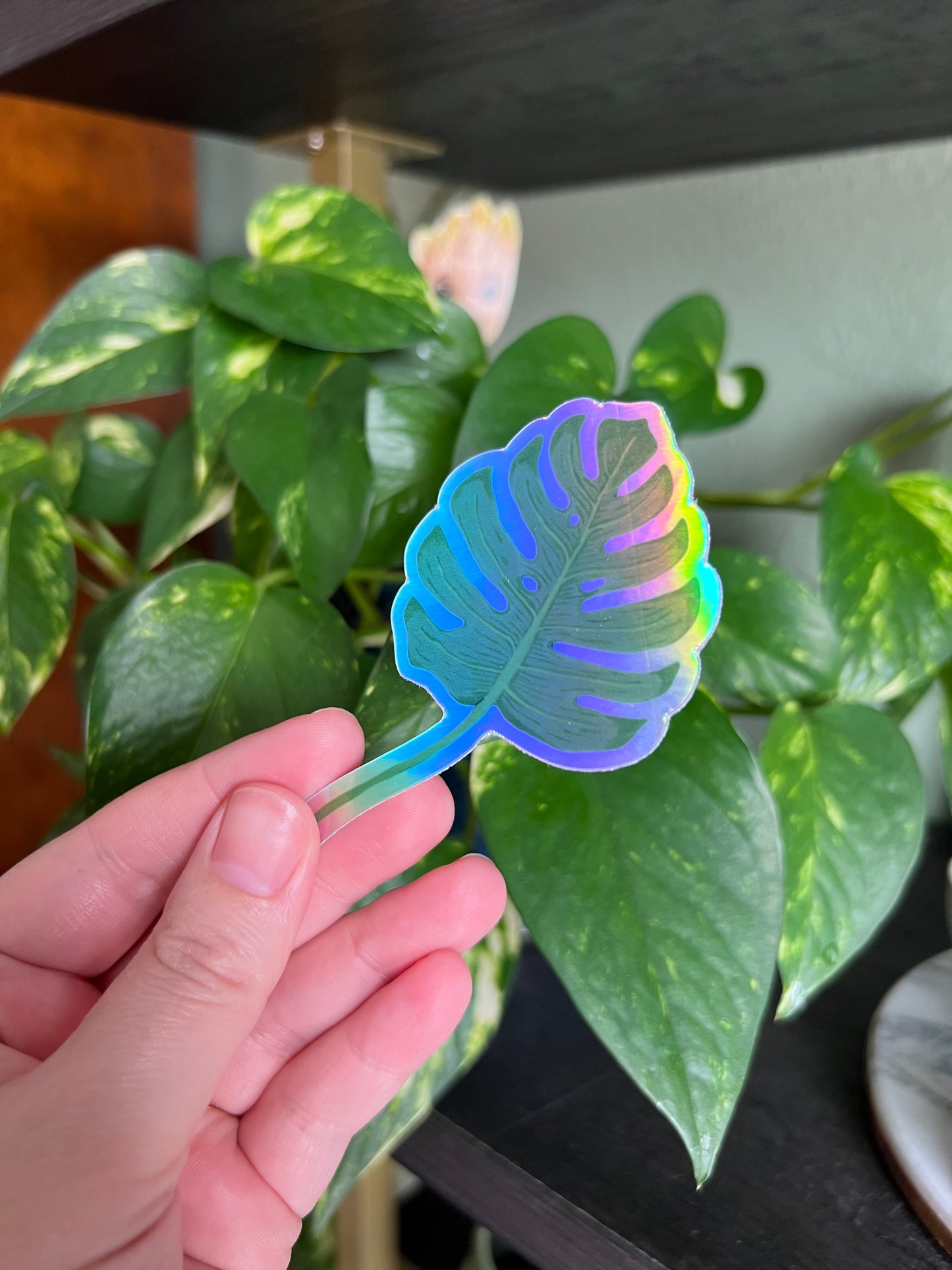 Philodendron Holographic Sticker