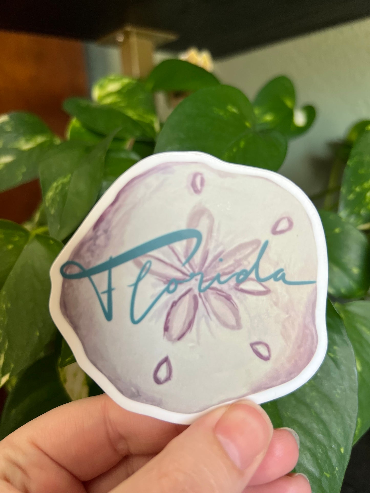 Florida Sand Dollar Tourist Sticker