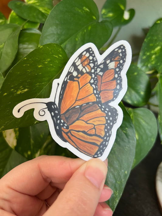 Monarch Butterfly Sticker w/ Clear Border