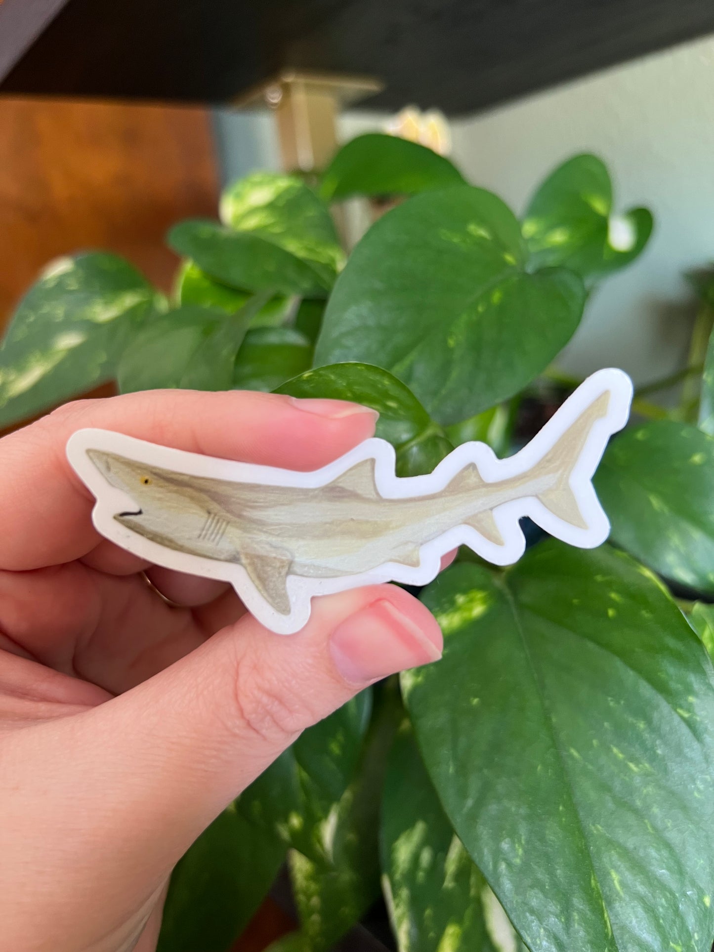 Lemon Shark Sticker