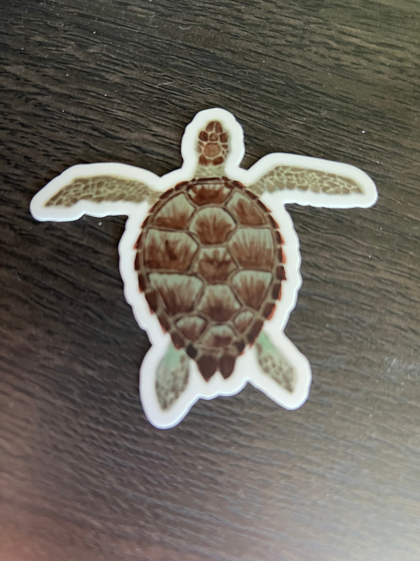 Sea Turtle Sticker