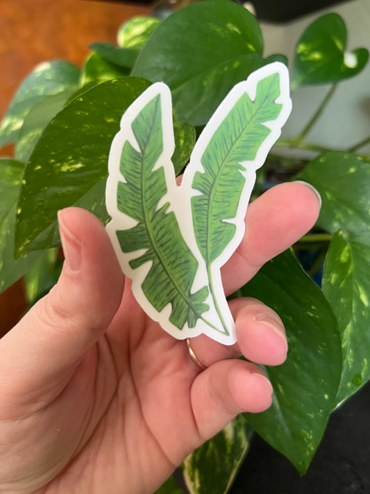 Tropical Palms Sticker w/ Clear Border