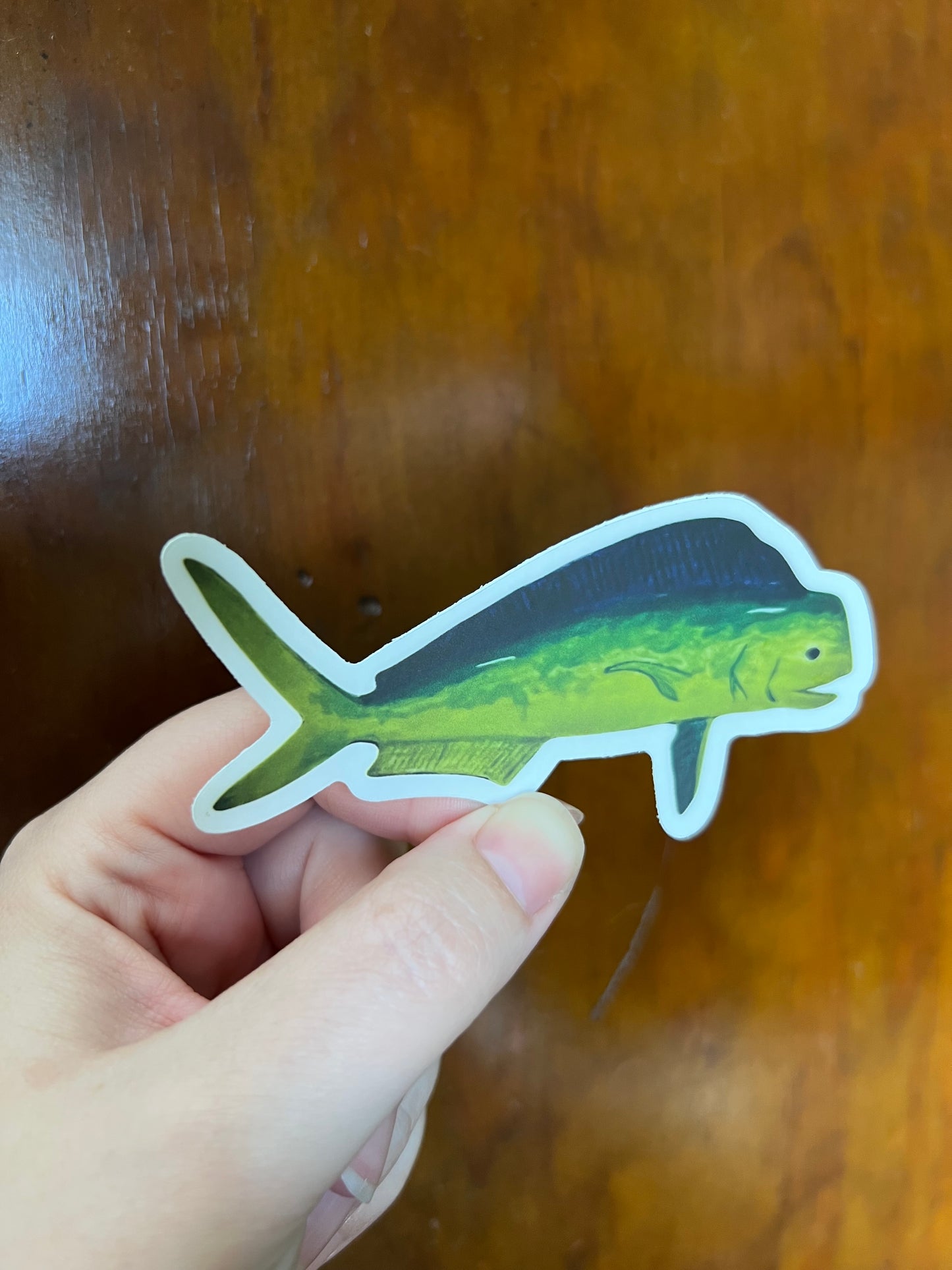 Mahi Mahi Dorado Sticker w/ Clear Border