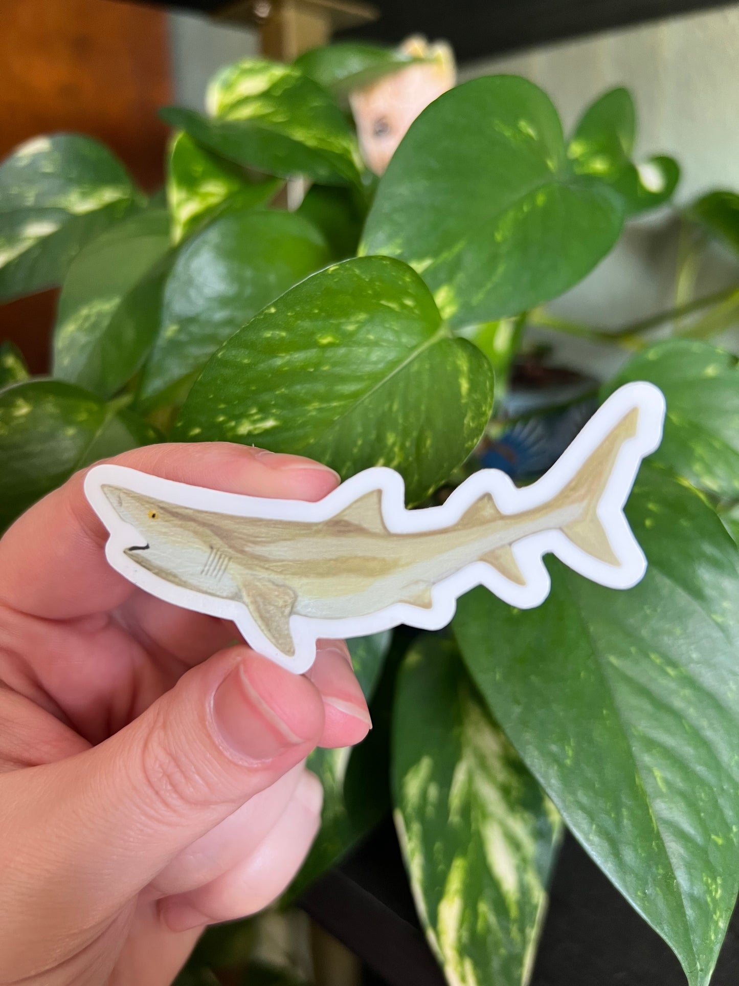 Lemon Shark Sticker