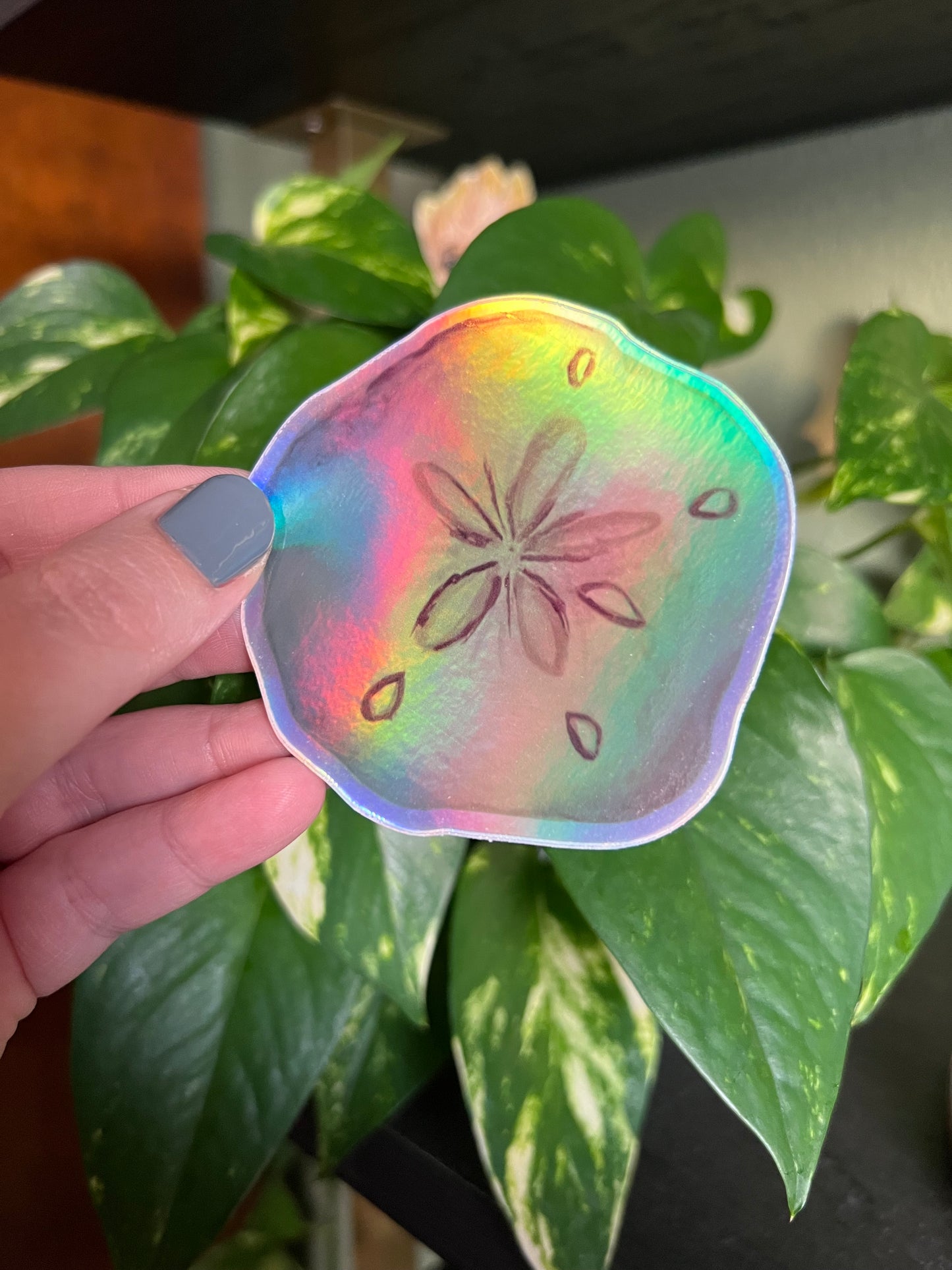 Sand Dollar Holographic Sticker