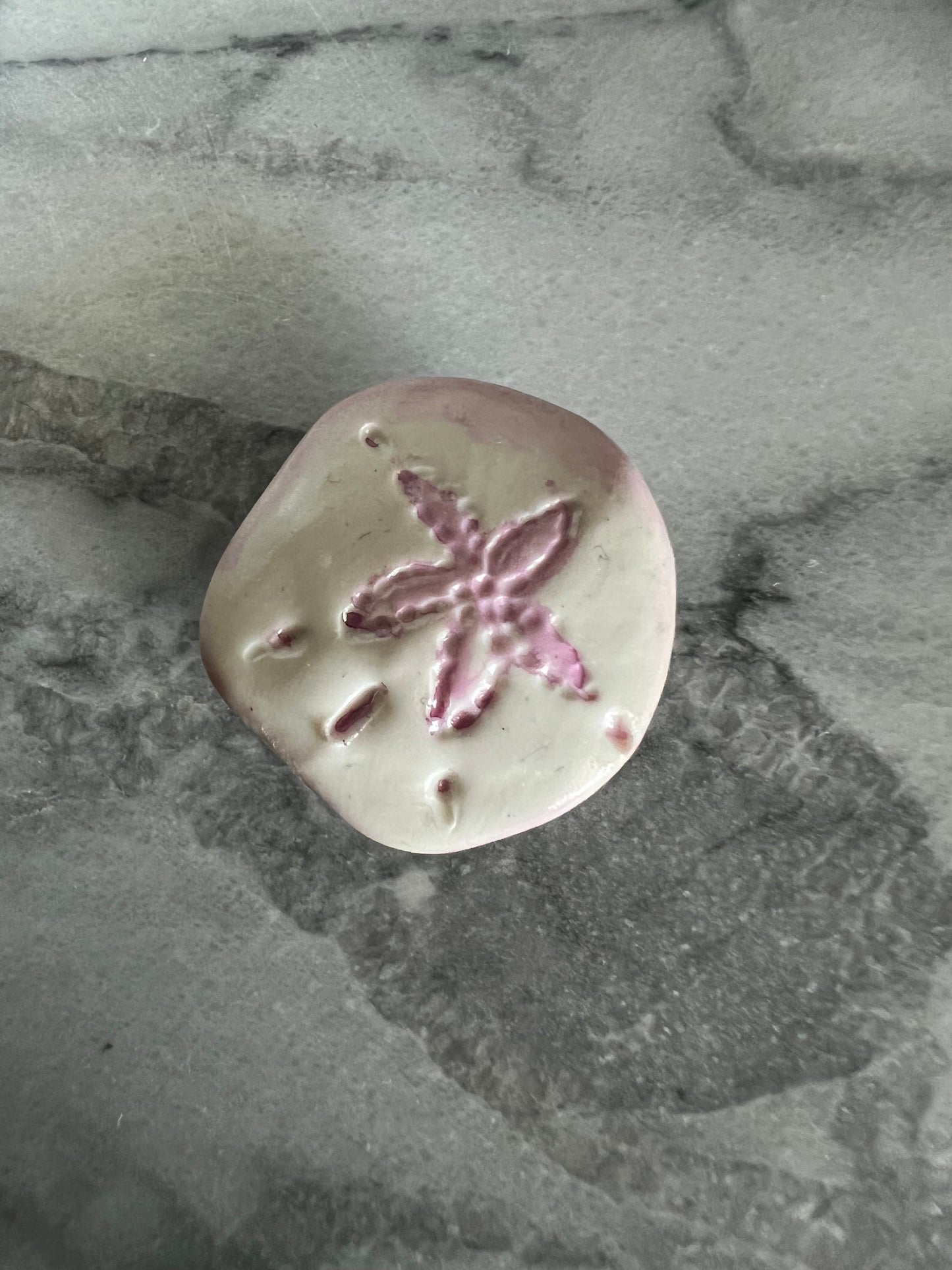 Sand Dollar Magnets