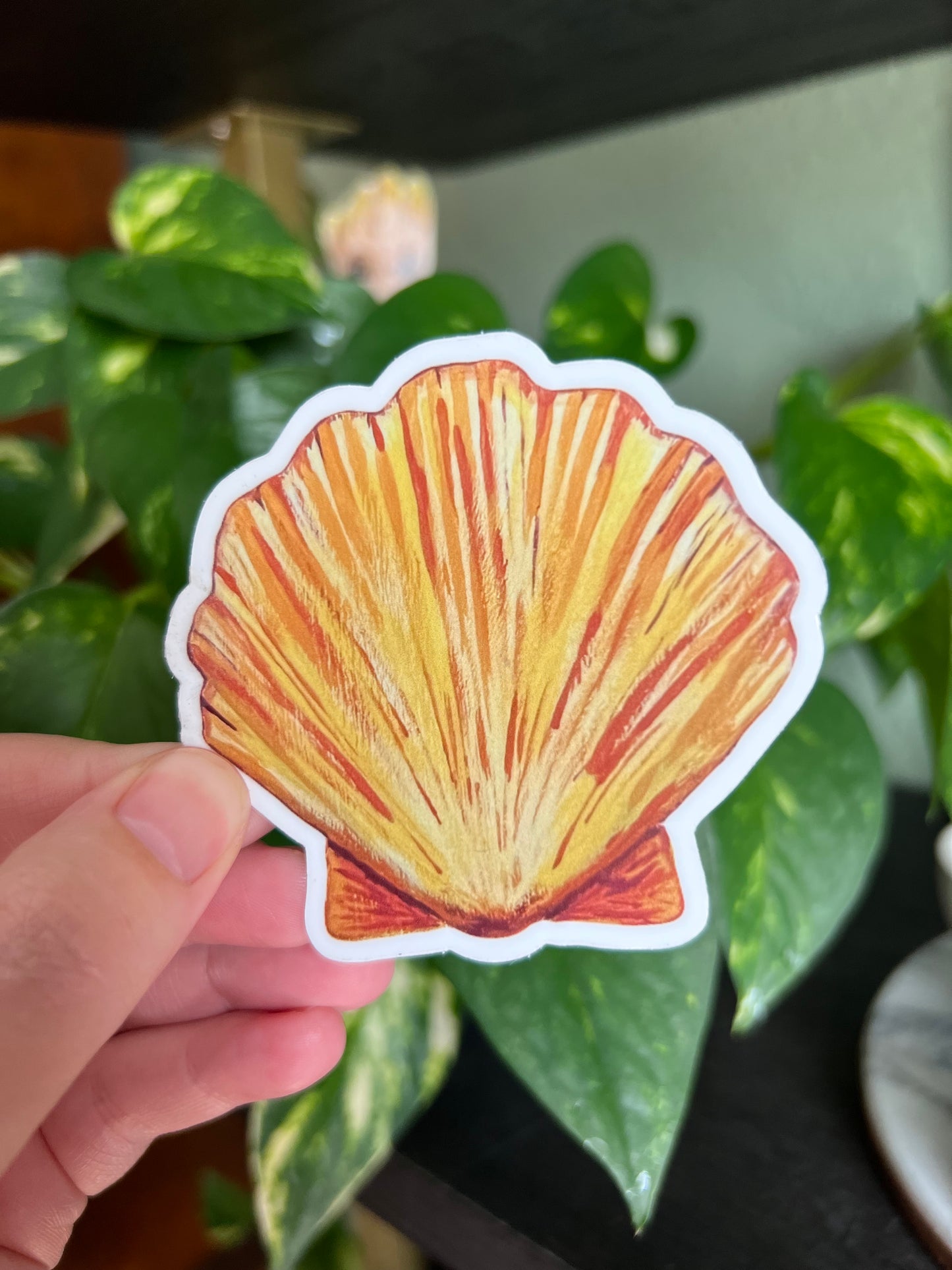 Shell Seeker Sticker