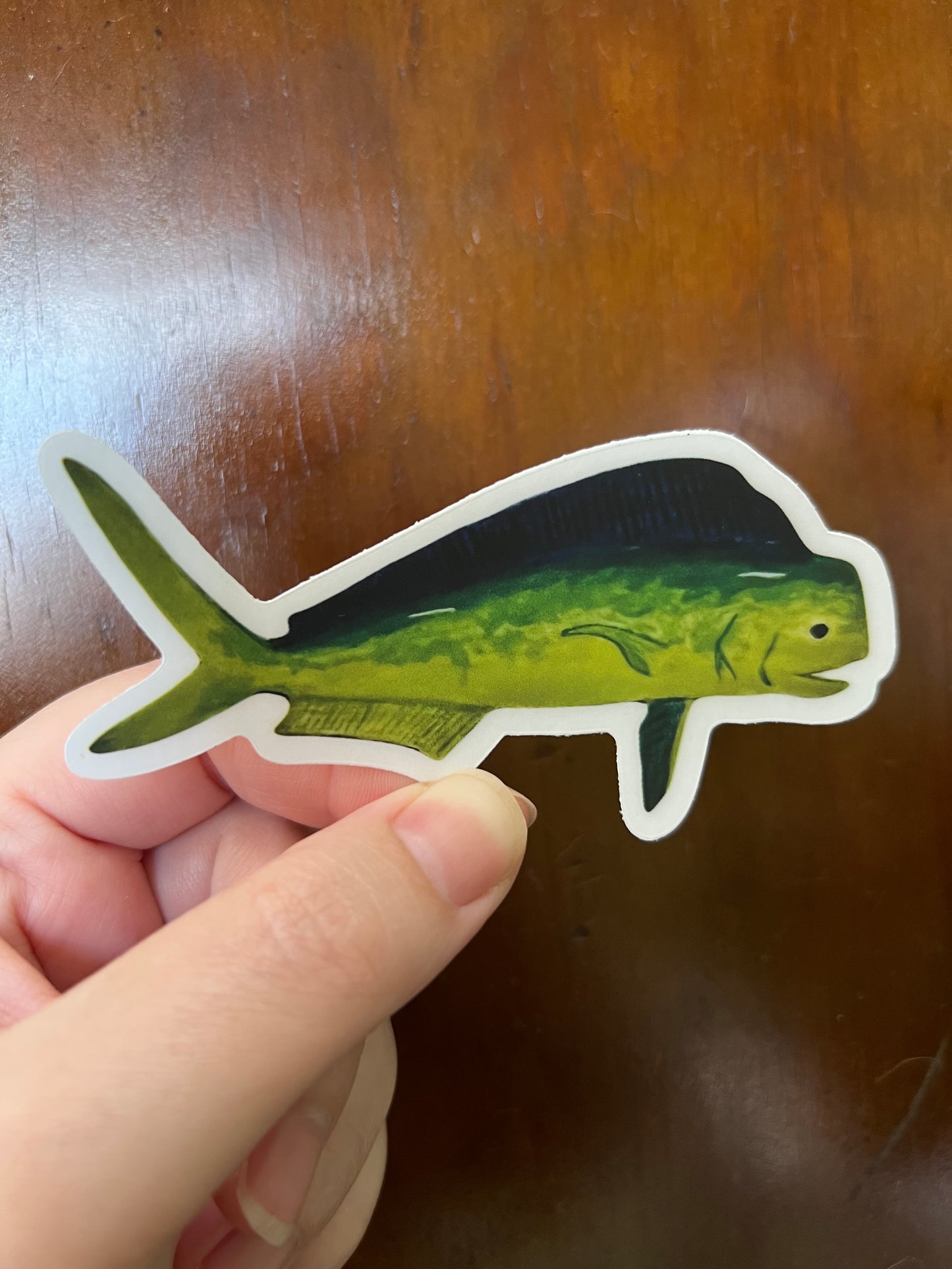 Mahi Mahi Dorado Sticker w/ Clear Border