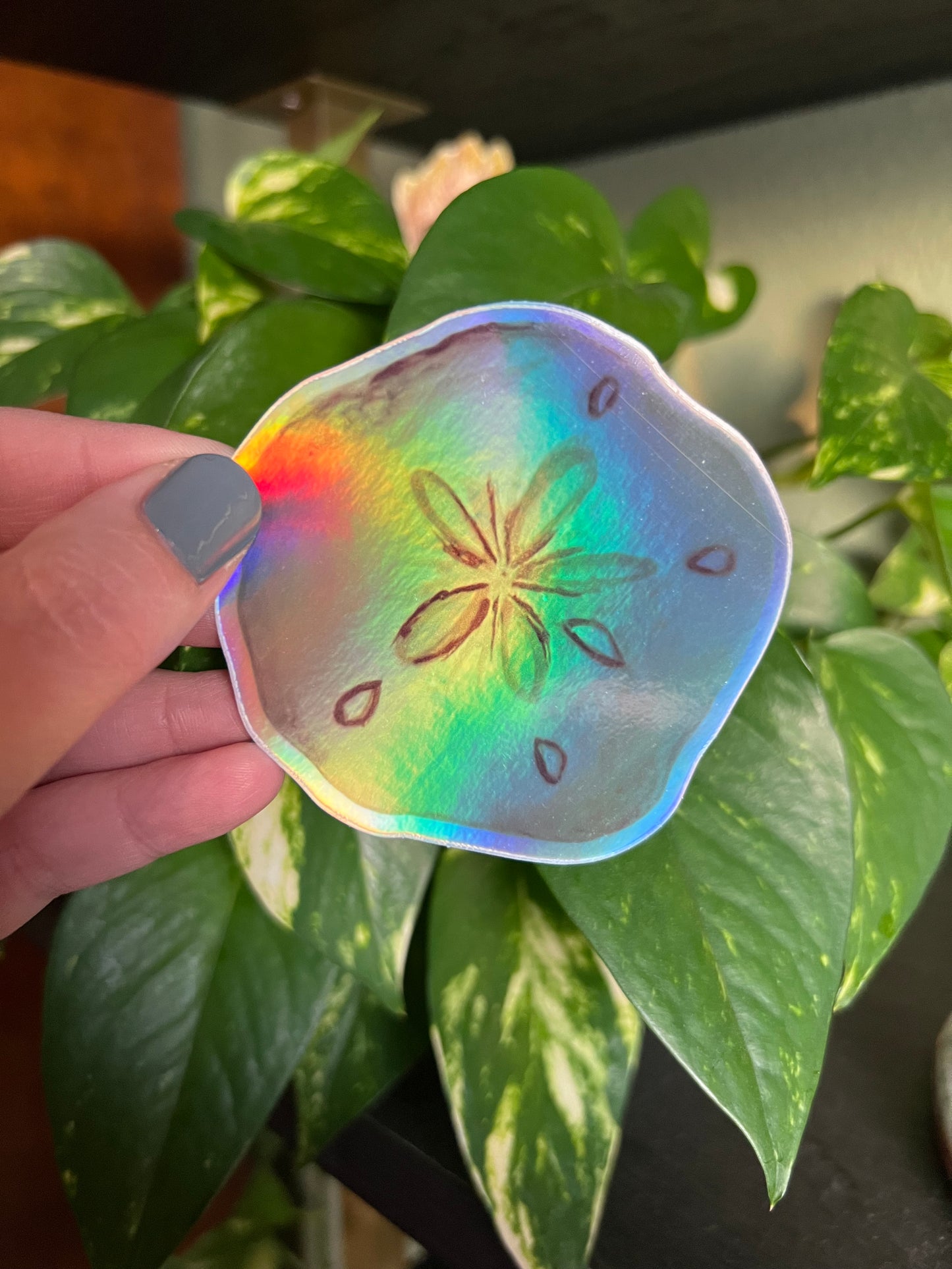 Sand Dollar Holographic Sticker