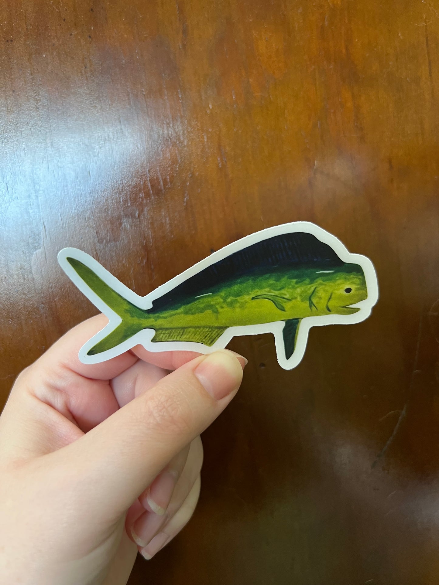 Mahi Mahi Dorado Sticker w/ Clear Border