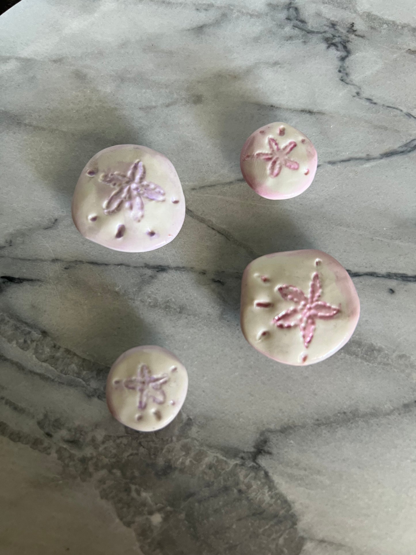 Sand Dollar Magnets