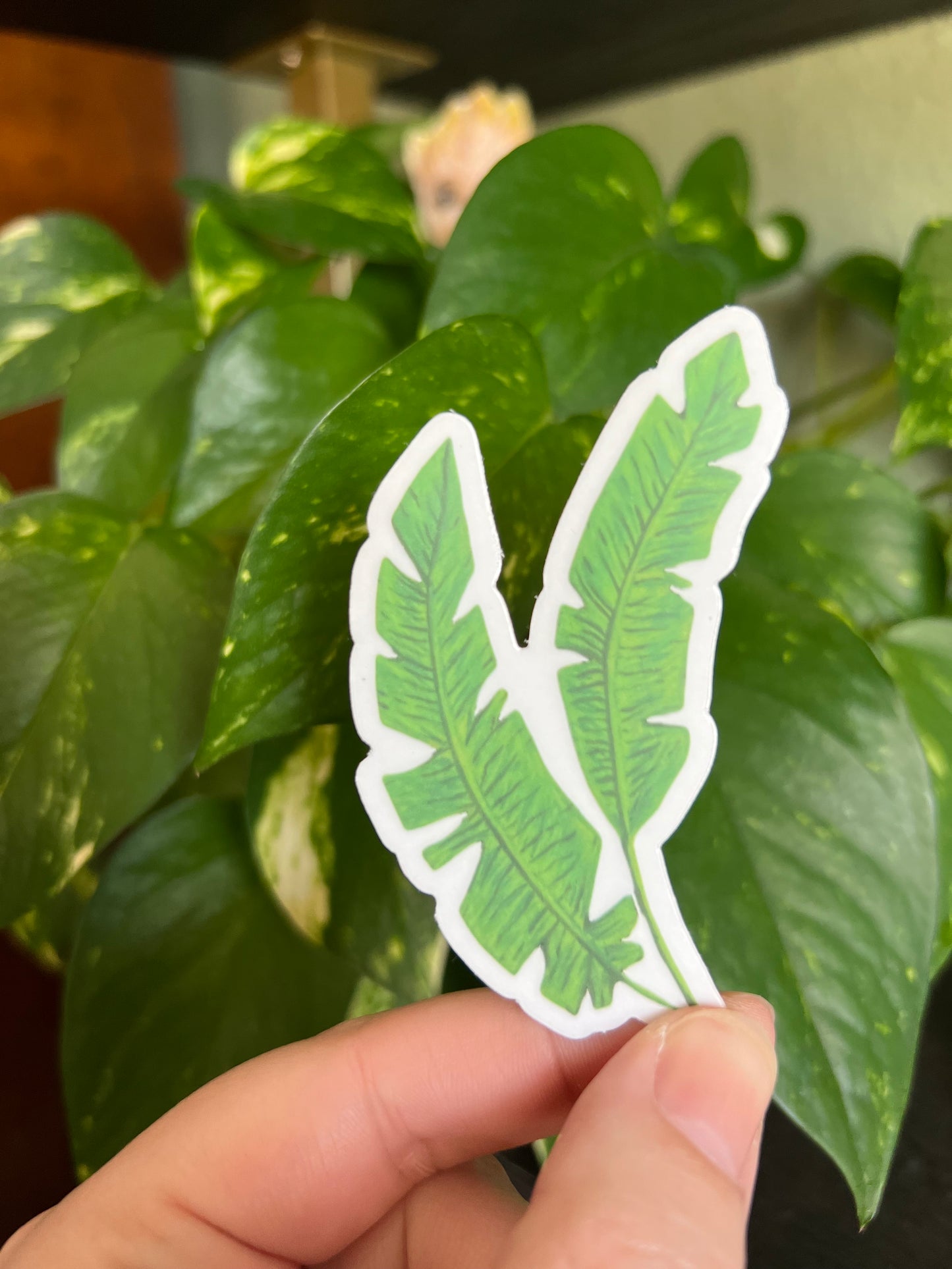 Tropical Palms Sticker w/ Clear Border