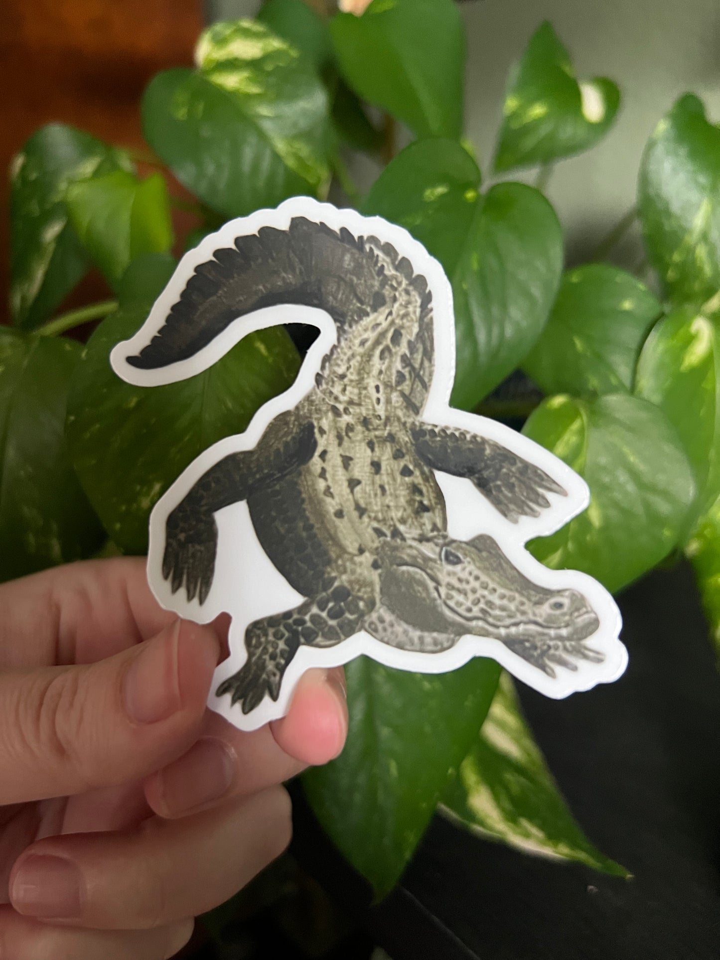 Alligator Sticker