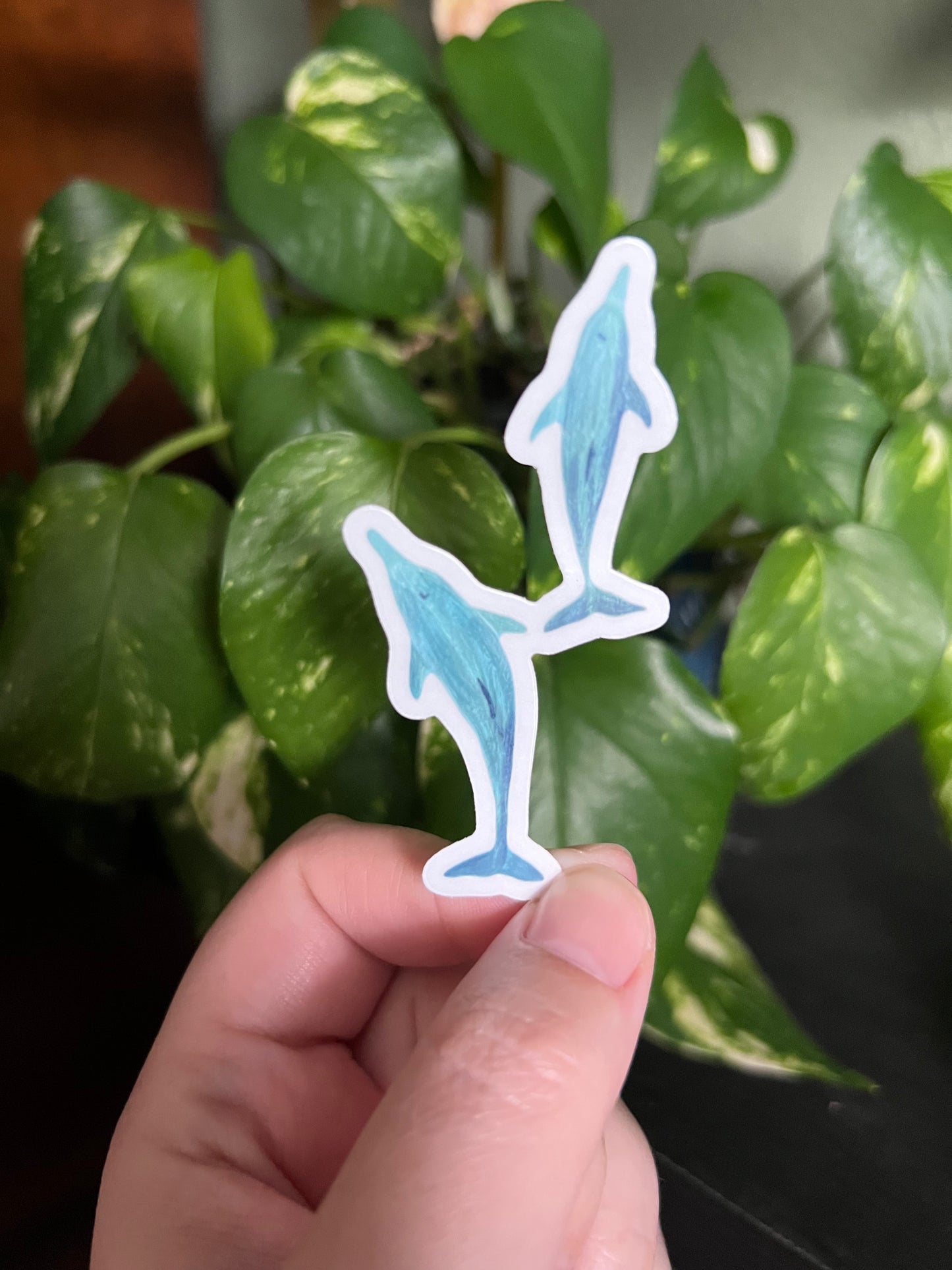 Bottlenose Besties Clear Die Cut Sticker